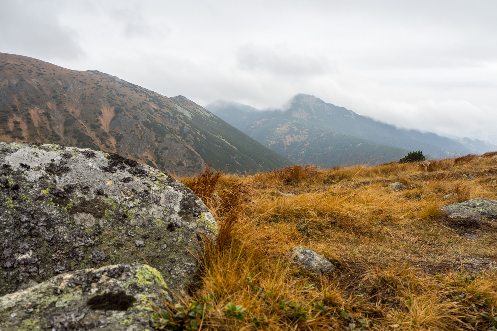 Salatín zo Zuberca, Prtí (Západné Tatry)