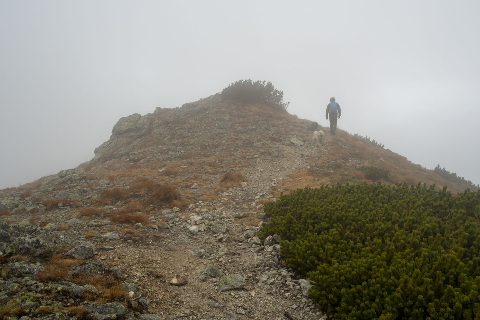 Salatín zo Zuberca, Prtí (Západné Tatry)