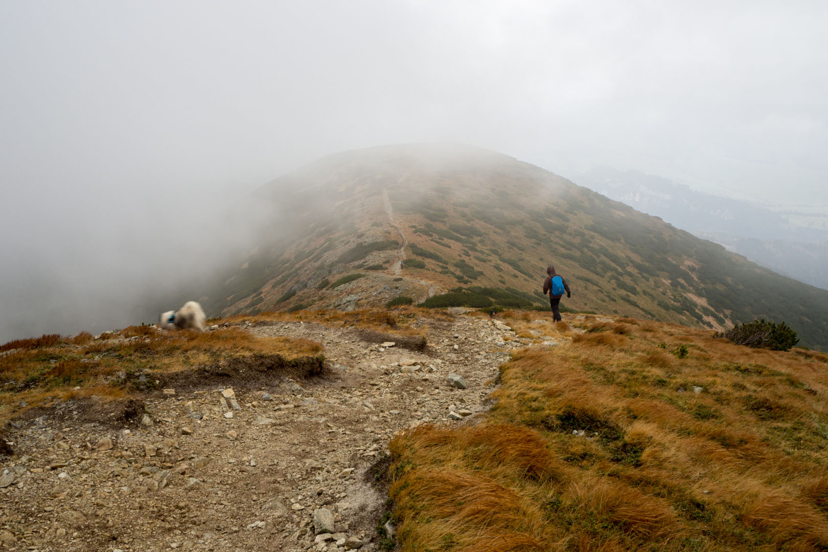 Salatín zo Zuberca, Prtí (Západné Tatry)