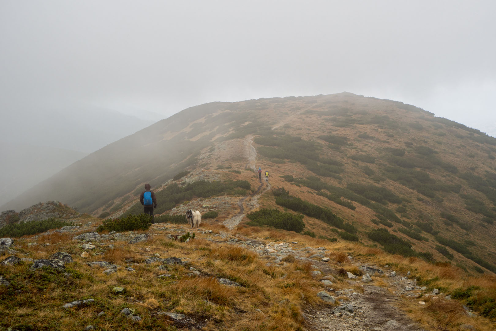 Salatín zo Zuberca, Prtí (Západné Tatry)