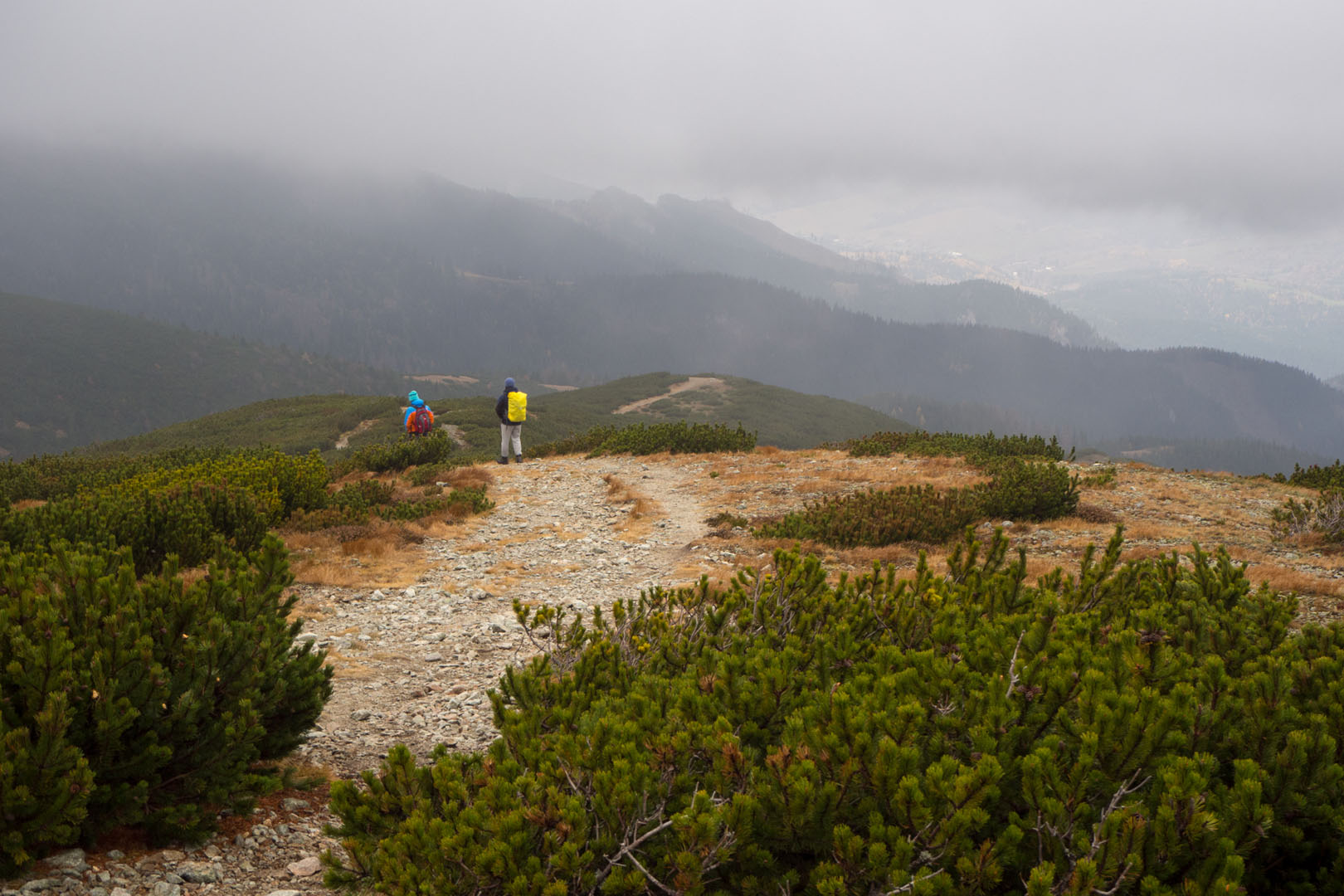 Salatín zo Zuberca, Prtí (Západné Tatry)