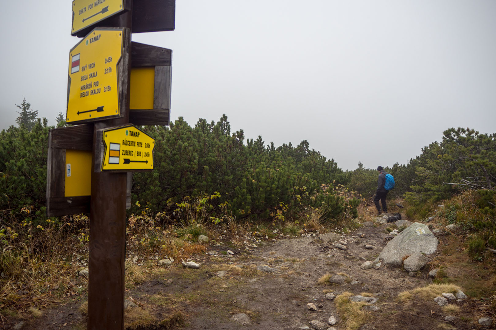 Salatín zo Zuberca, Prtí (Západné Tatry)