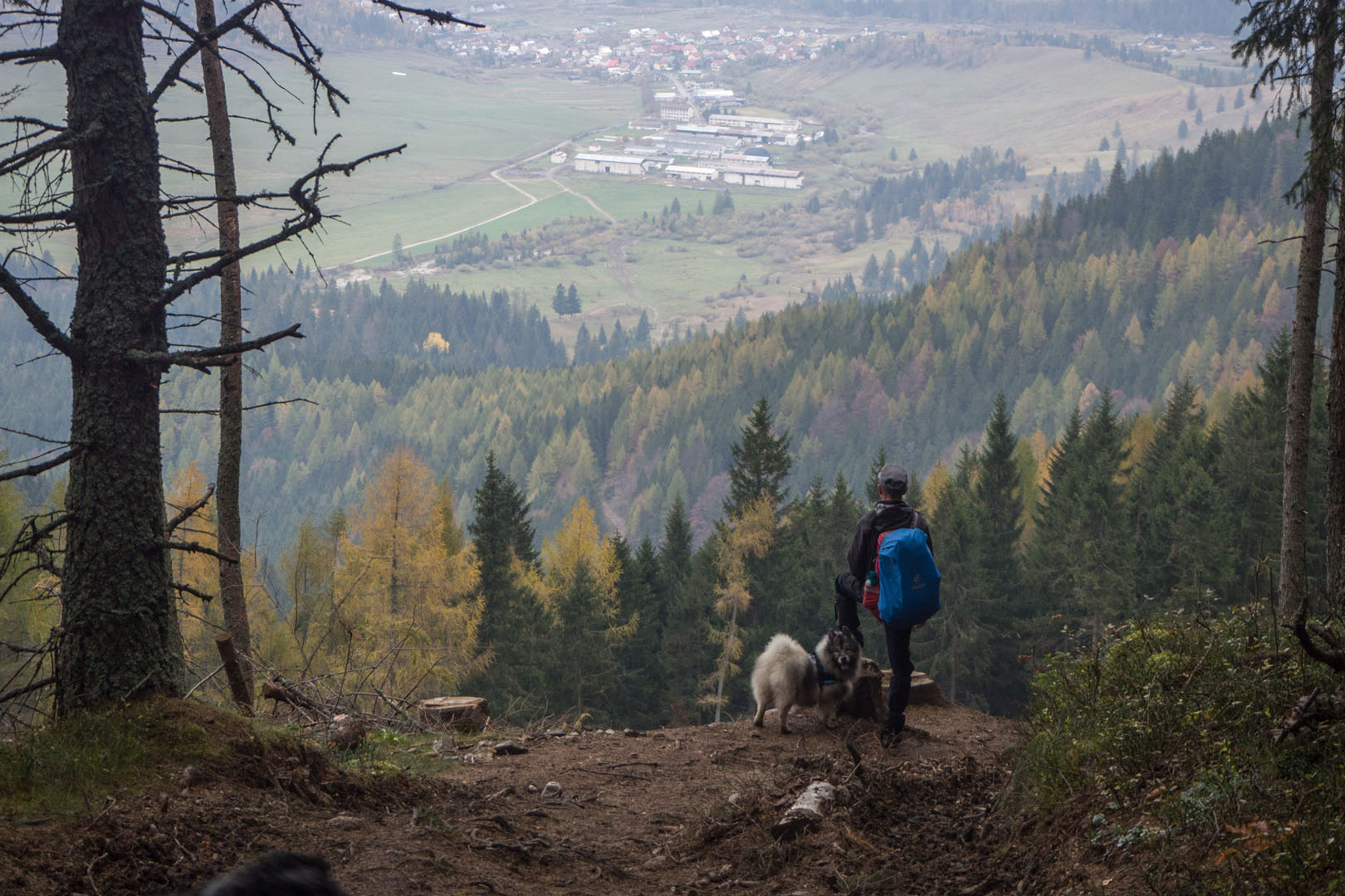 Salatín zo Zuberca, Prtí (Západné Tatry)