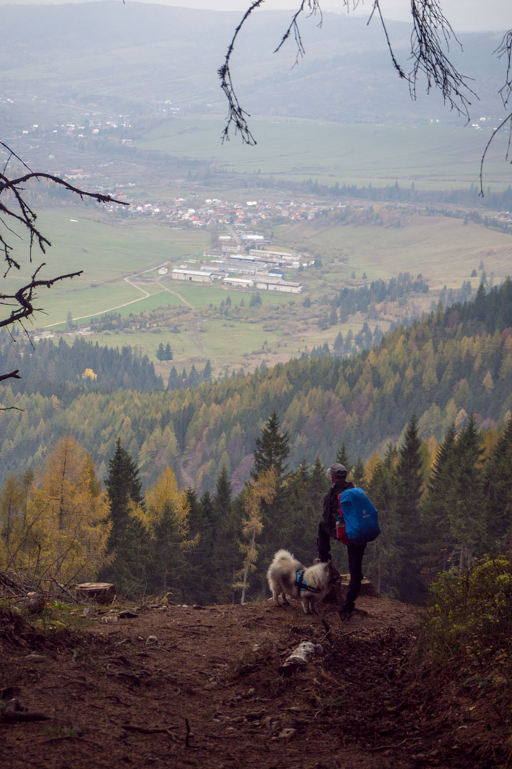 Salatín zo Zuberca, Prtí (Západné Tatry)