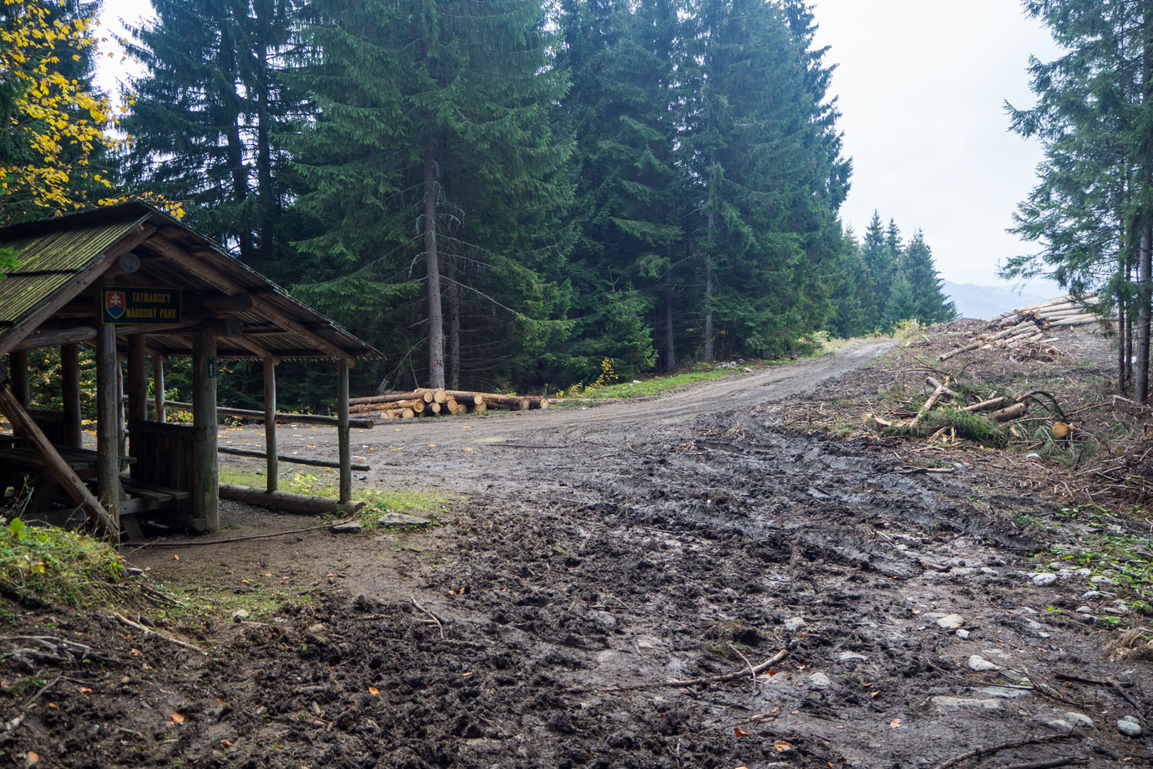 Salatín zo Zuberca, Prtí (Západné Tatry)