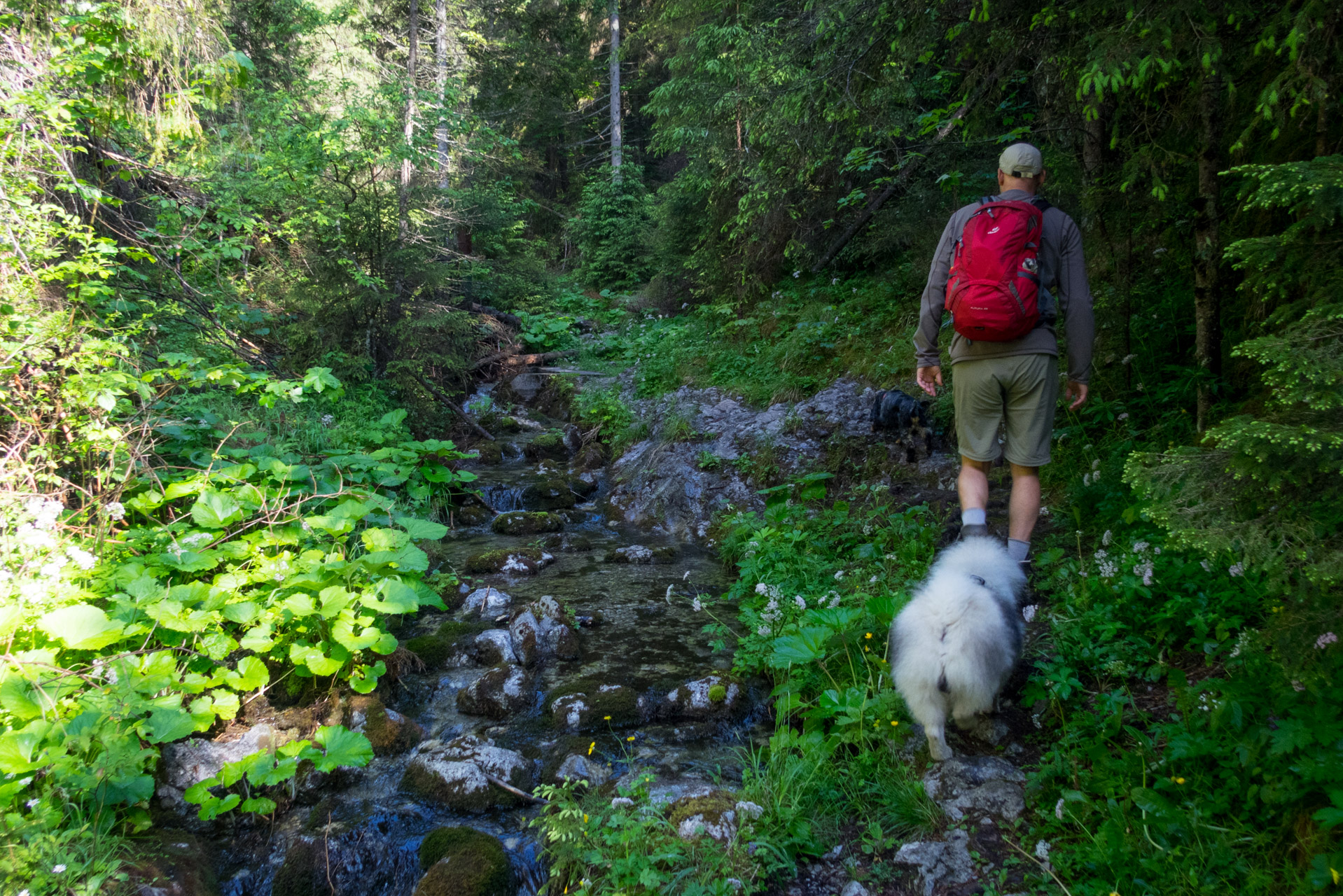 Siná od Demänovskej jaskyne slobody (Nízke Tatry)