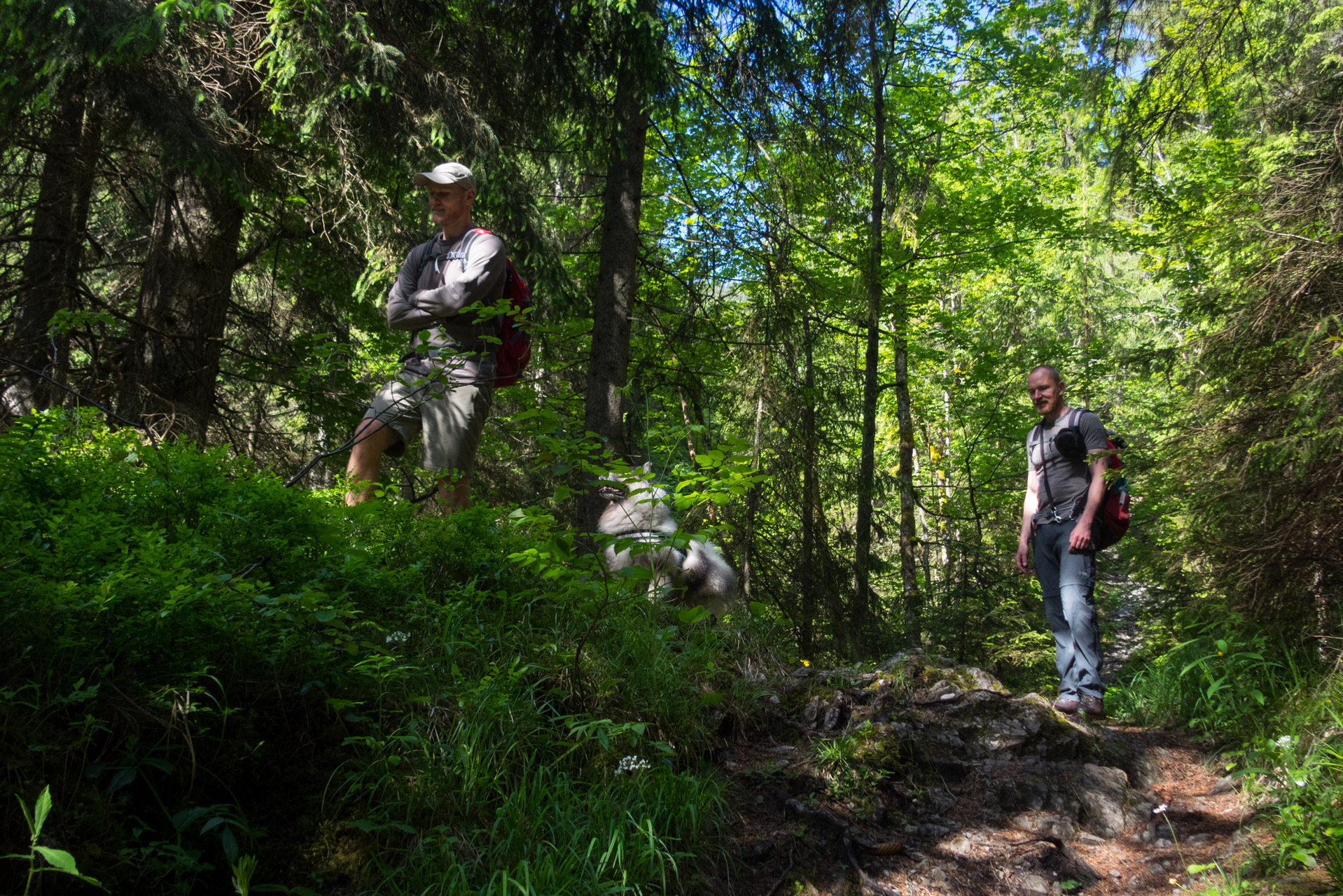 Siná od Demänovskej jaskyne slobody (Nízke Tatry)