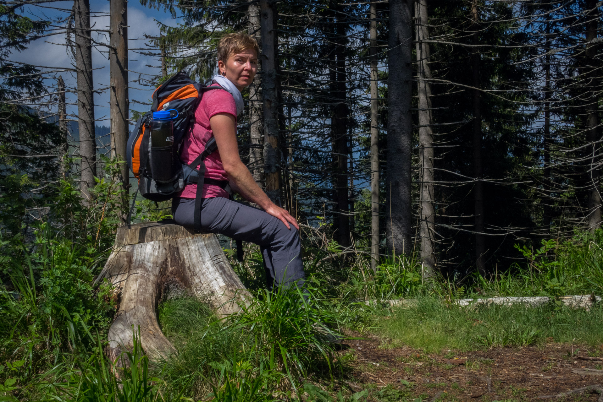 Siná od Demänovskej jaskyne slobody (Nízke Tatry)