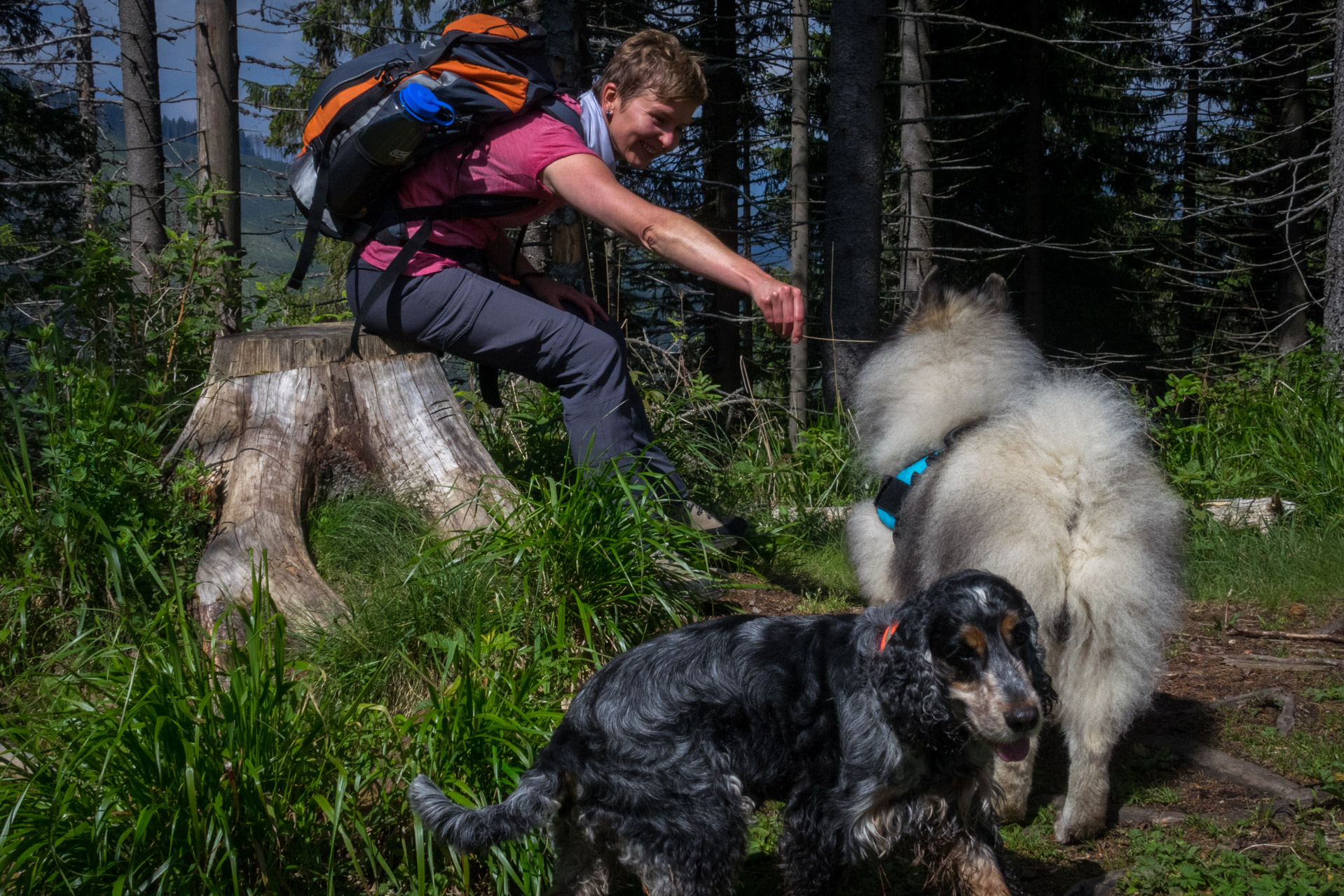 Siná od Demänovskej jaskyne slobody (Nízke Tatry)