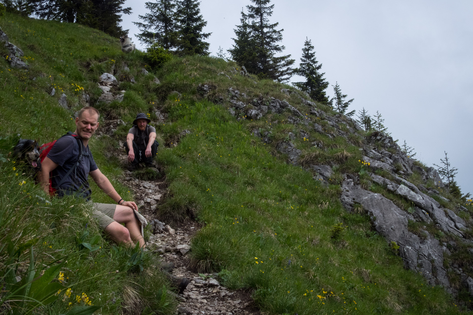 Siná od Demänovskej jaskyne slobody (Nízke Tatry)