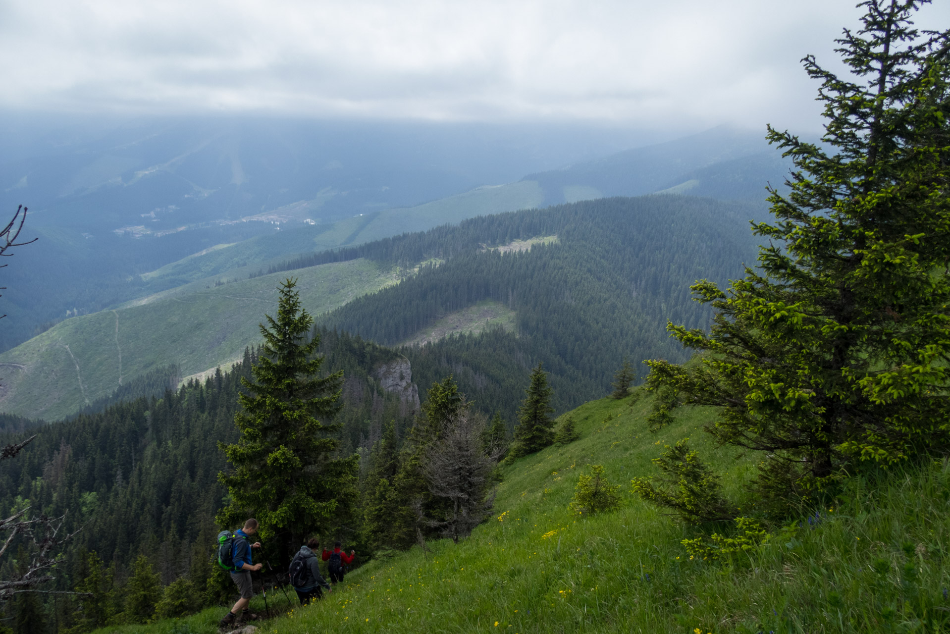 Siná od Demänovskej jaskyne slobody (Nízke Tatry)