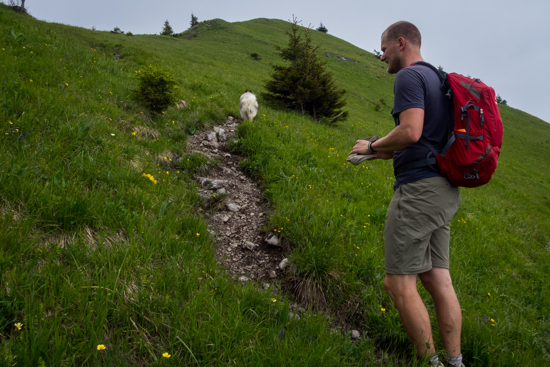 Siná od Demänovskej jaskyne slobody (Nízke Tatry)