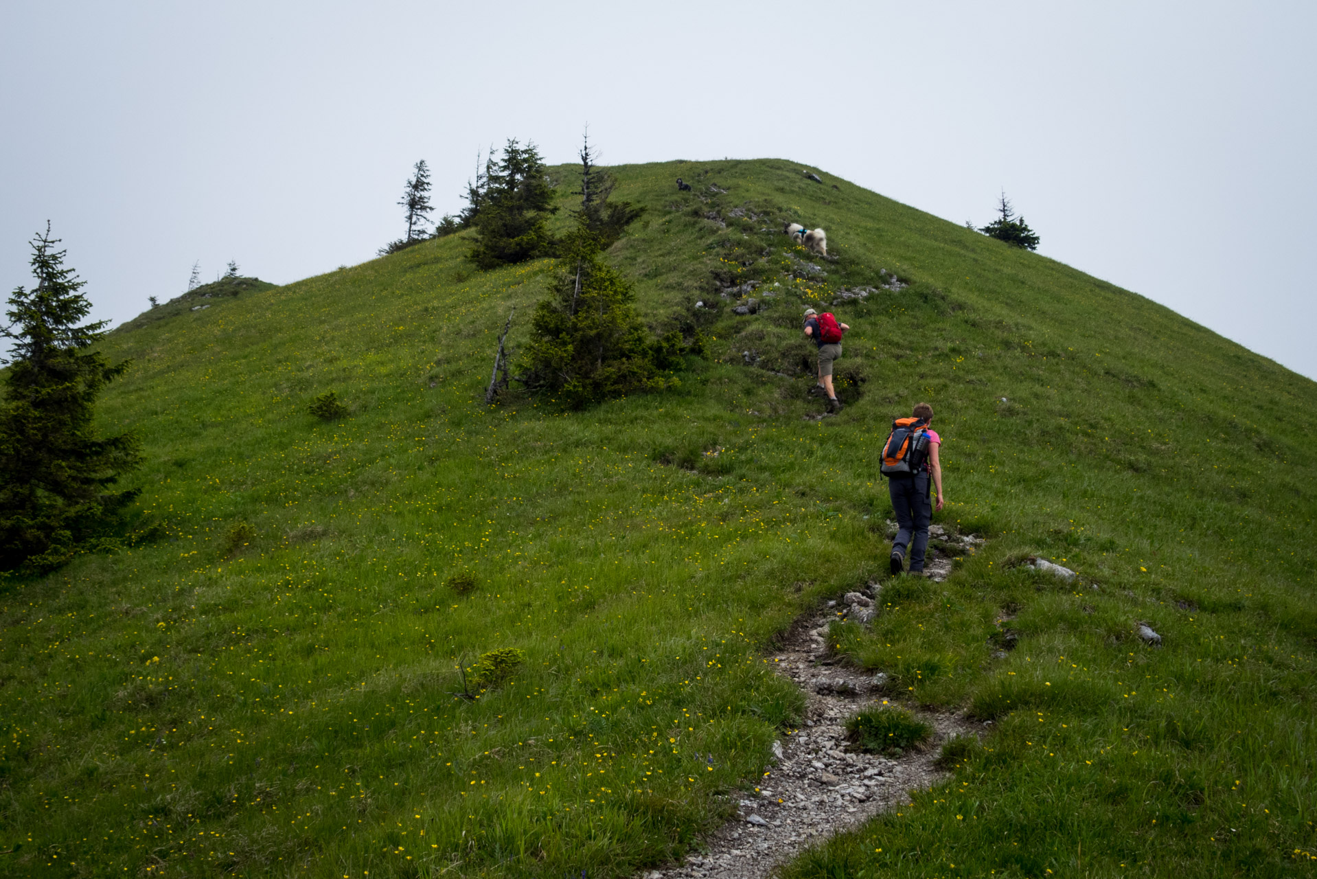 Siná od Demänovskej jaskyne slobody (Nízke Tatry)