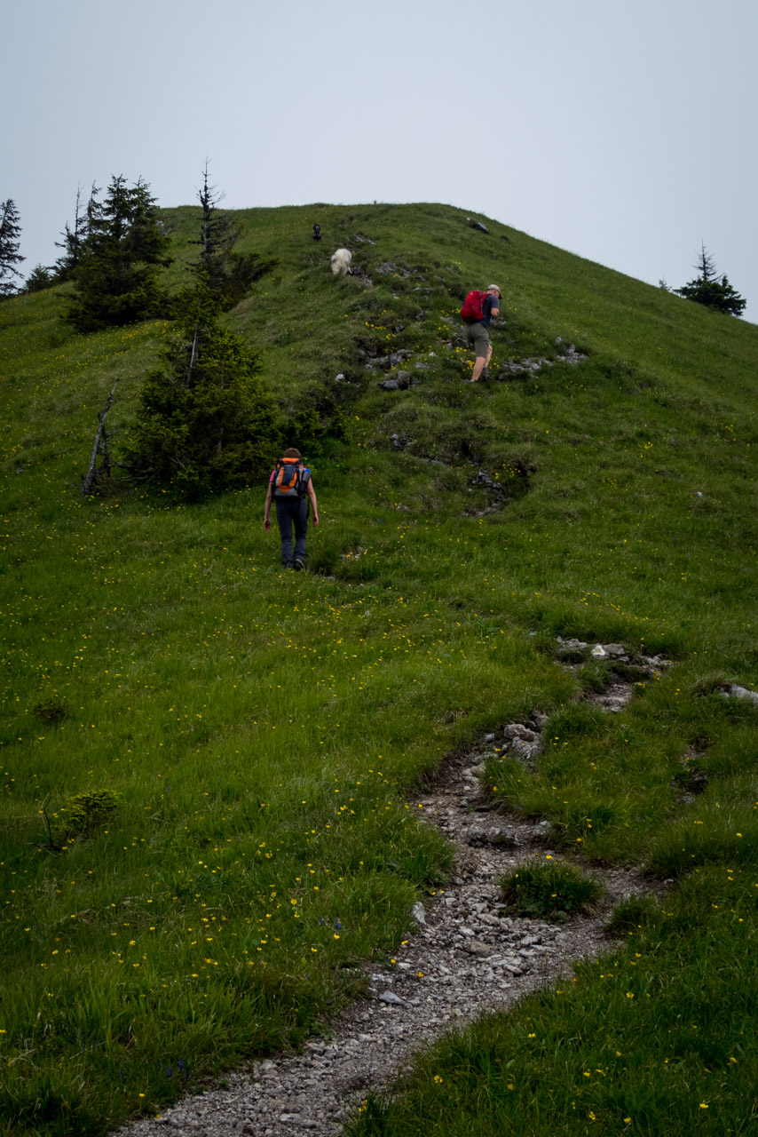 Siná od Demänovskej jaskyne slobody (Nízke Tatry)