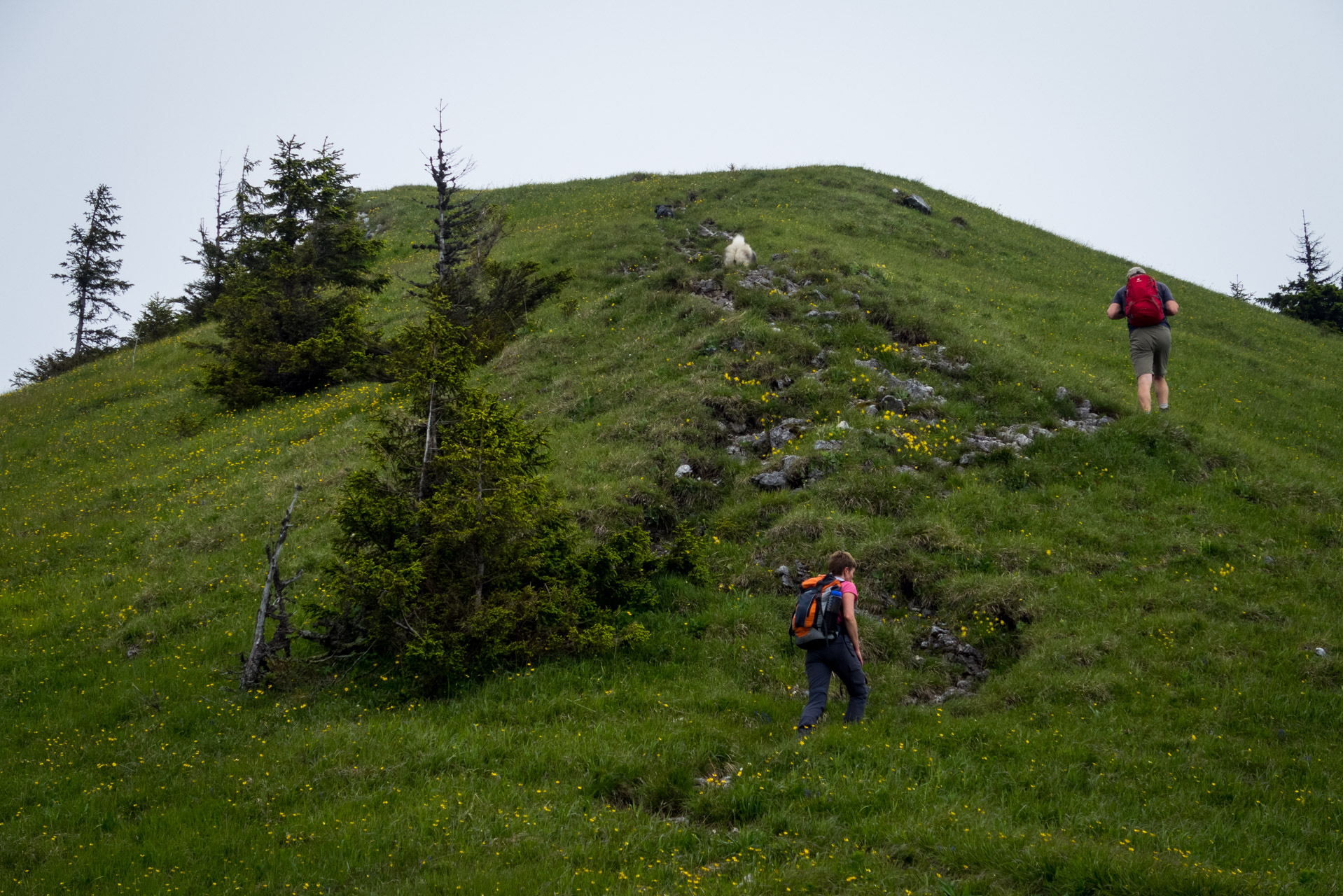 Siná od Demänovskej jaskyne slobody (Nízke Tatry)