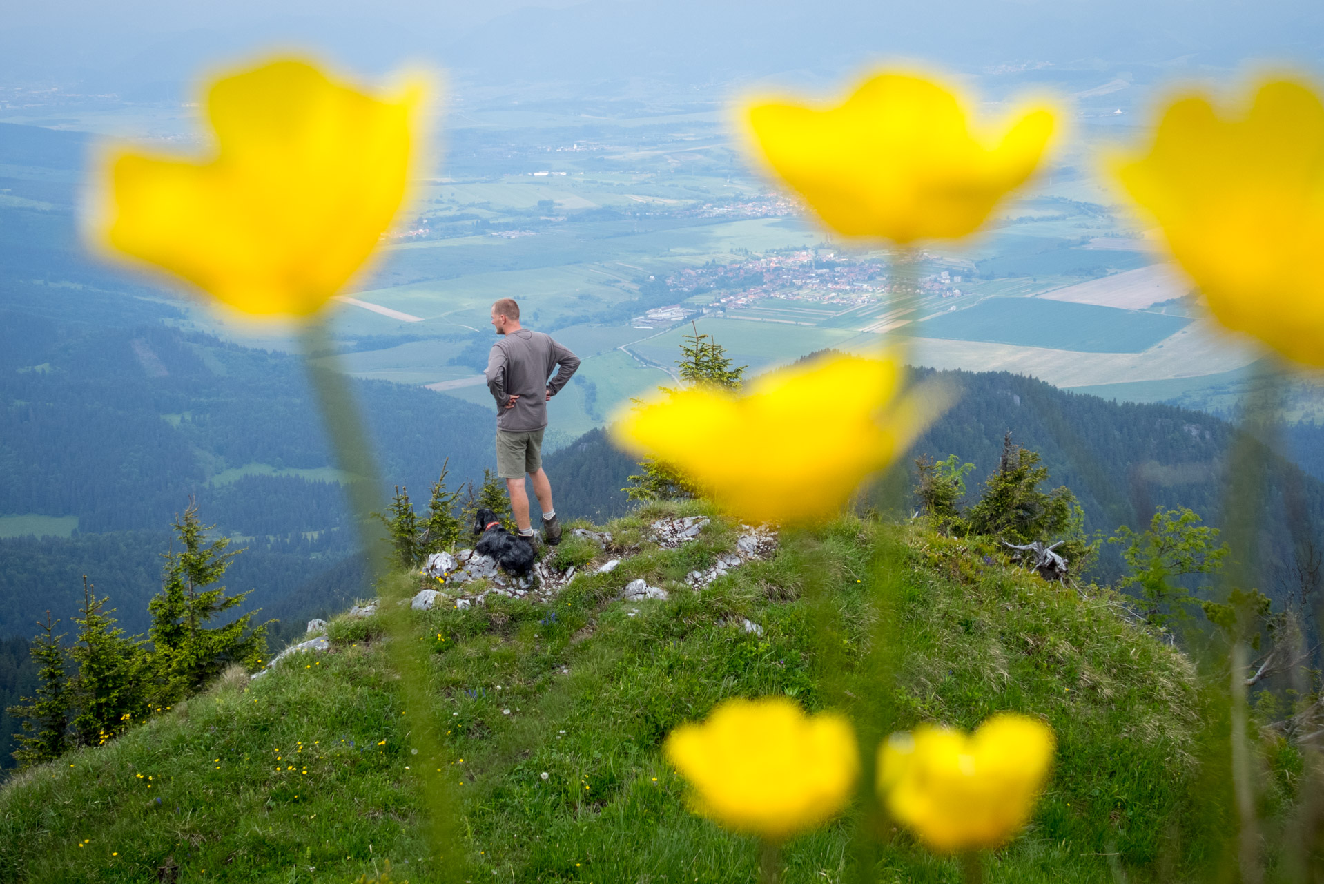 Siná od Demänovskej jaskyne slobody (Nízke Tatry)