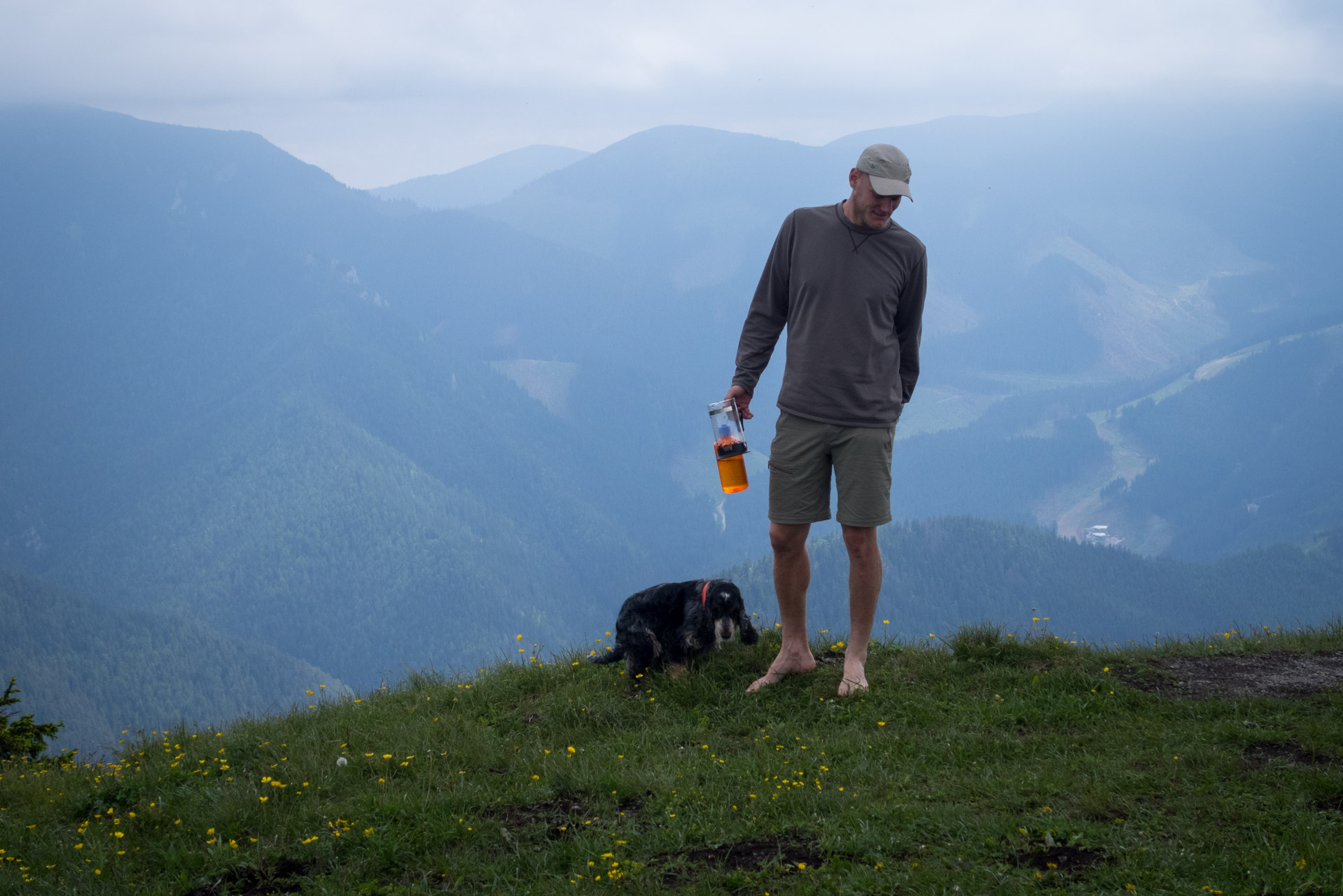 Siná od Demänovskej jaskyne slobody (Nízke Tatry)