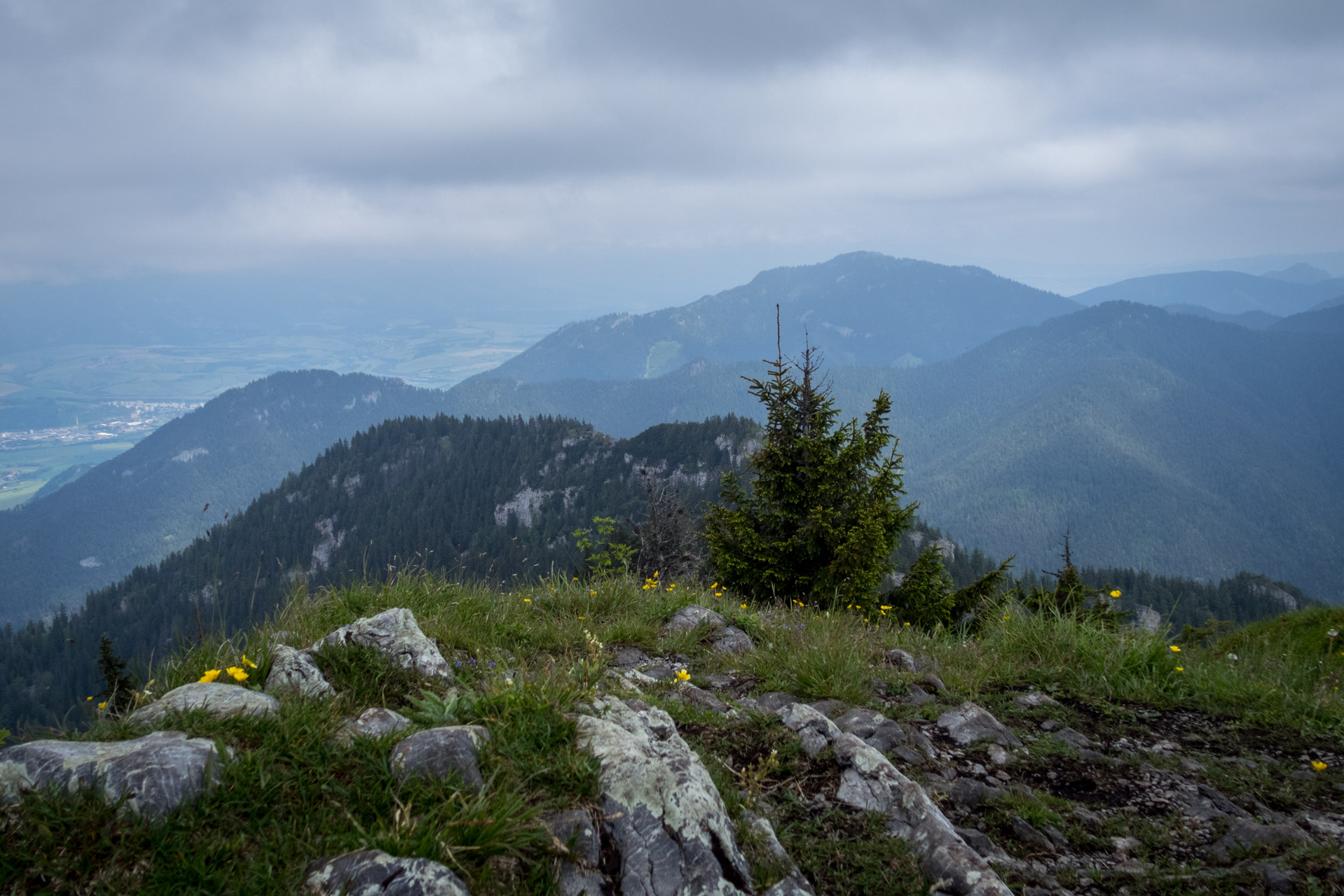 Siná od Demänovskej jaskyne slobody (Nízke Tatry)