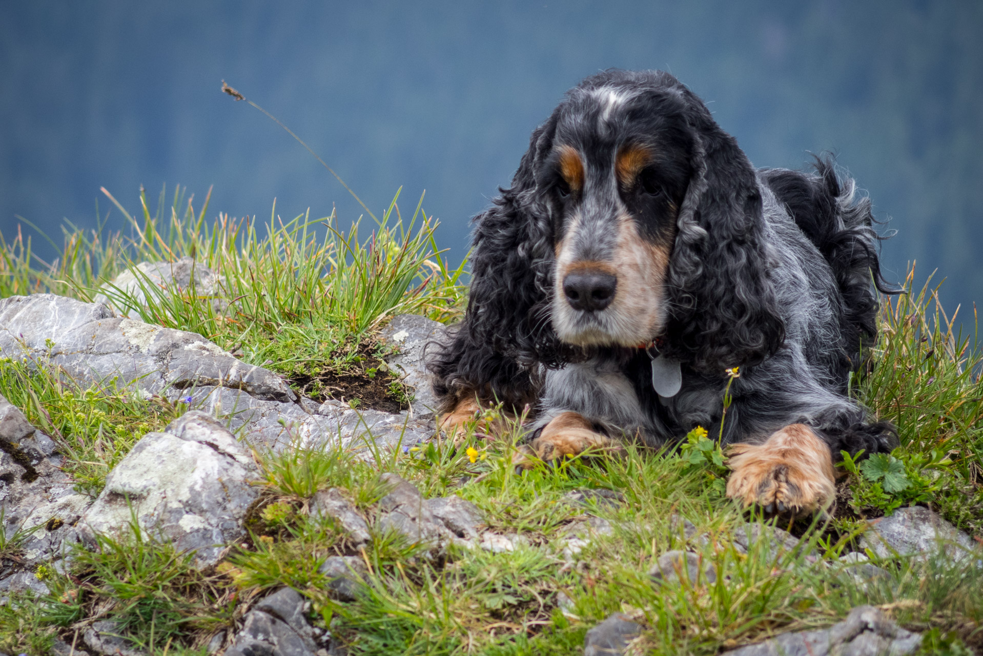 Siná od Demänovskej jaskyne slobody (Nízke Tatry)