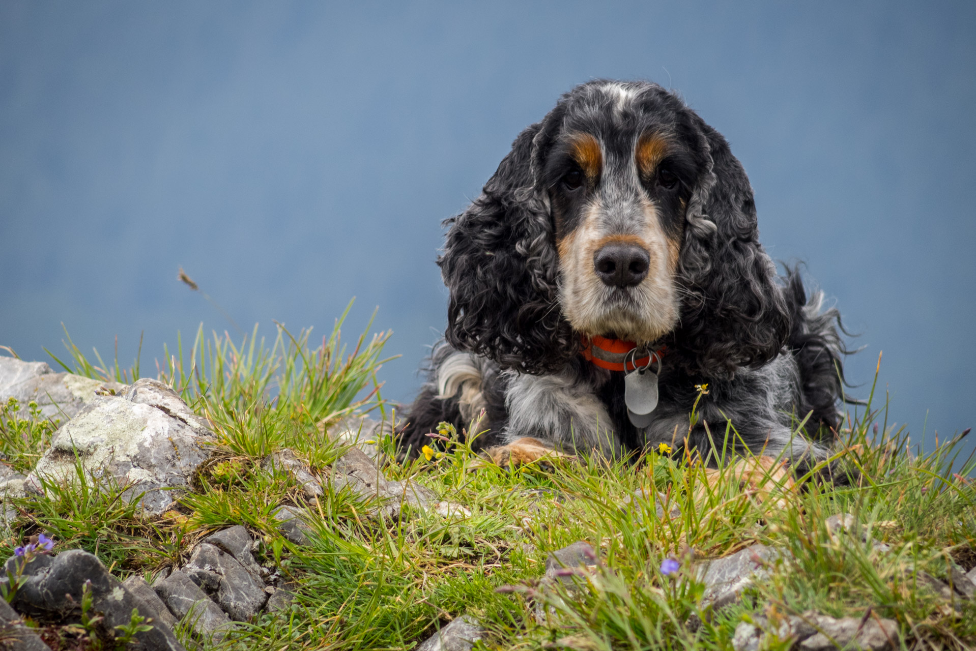 Siná od Demänovskej jaskyne slobody (Nízke Tatry)