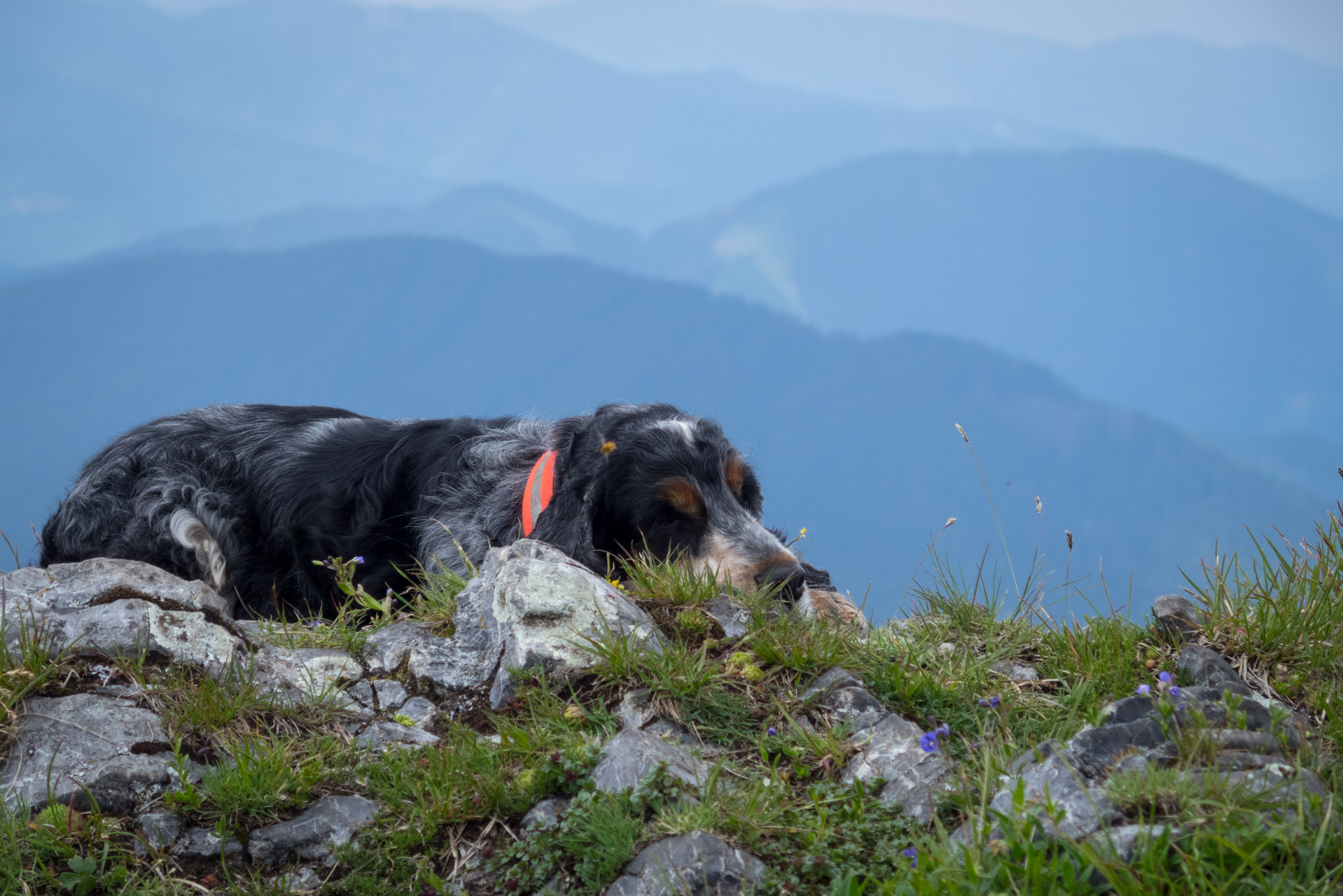 Siná od Demänovskej jaskyne slobody (Nízke Tatry)