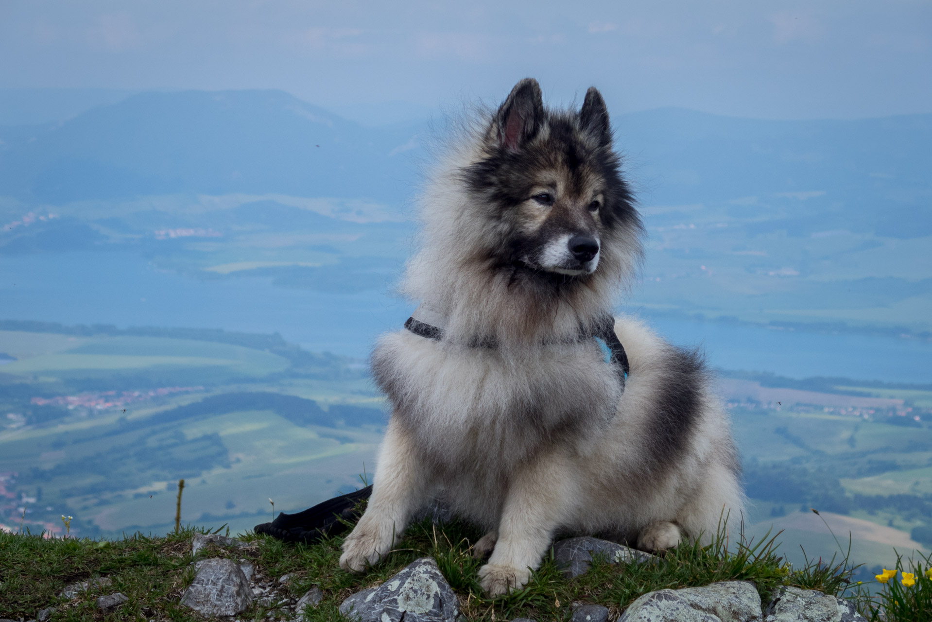 Siná od Demänovskej jaskyne slobody (Nízke Tatry)