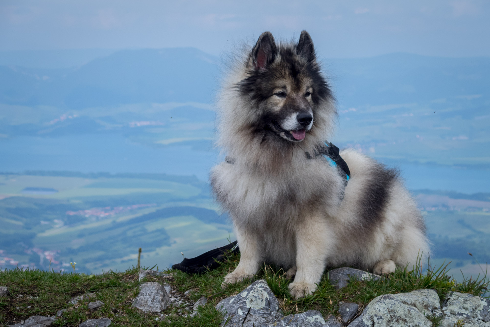 Siná od Demänovskej jaskyne slobody (Nízke Tatry)