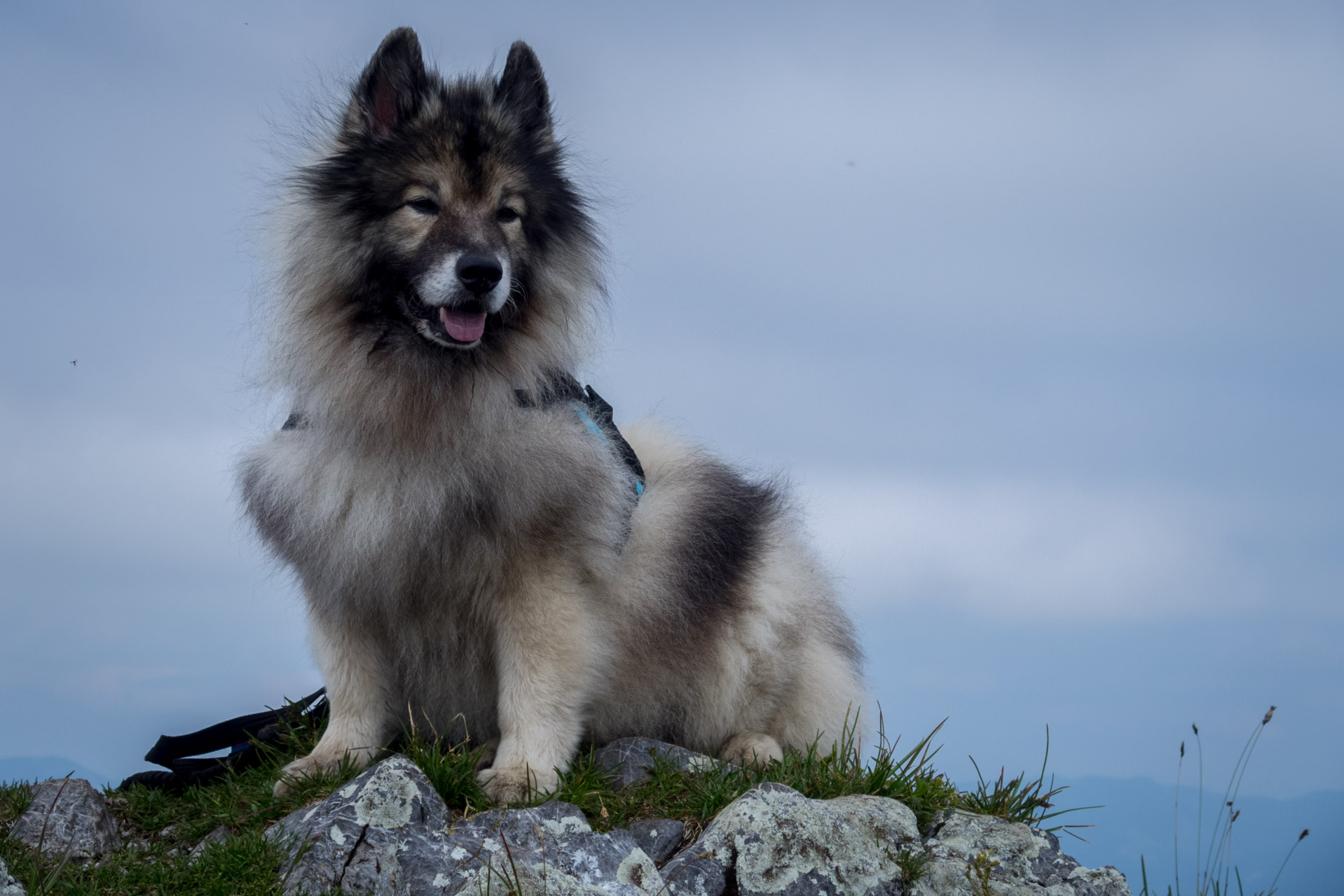 Siná od Demänovskej jaskyne slobody (Nízke Tatry)