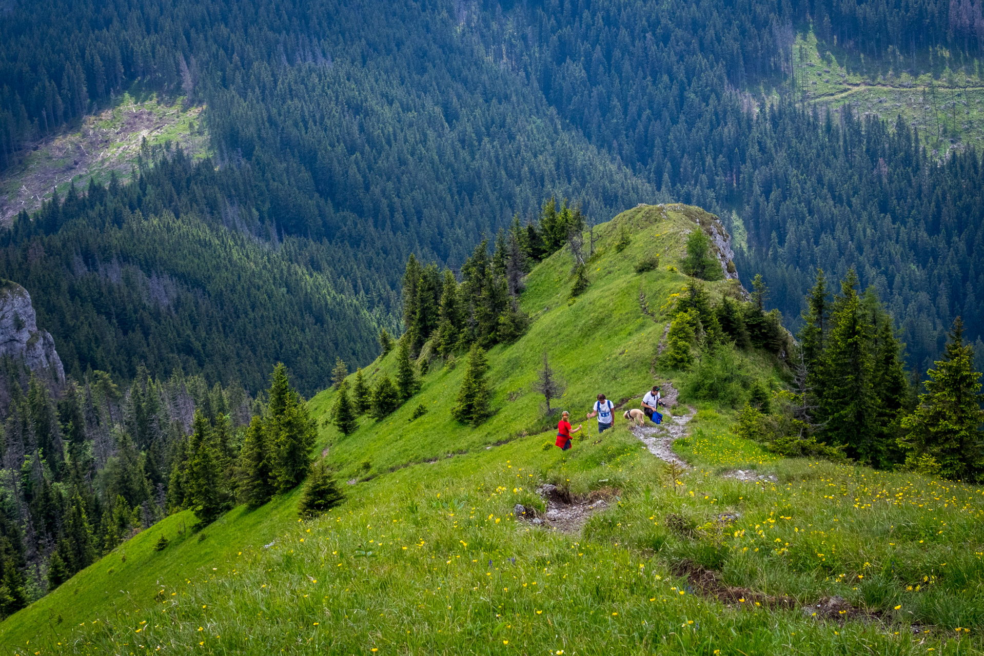 Siná od Demänovskej jaskyne slobody (Nízke Tatry)