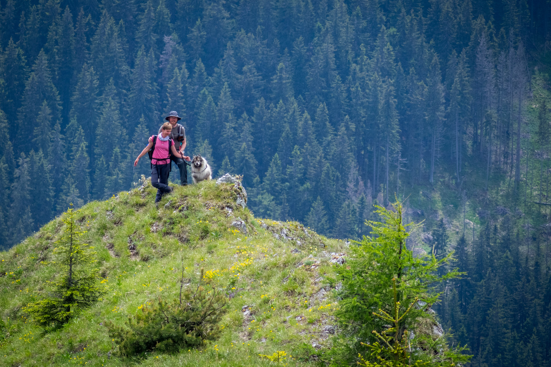 Siná od Demänovskej jaskyne slobody (Nízke Tatry)