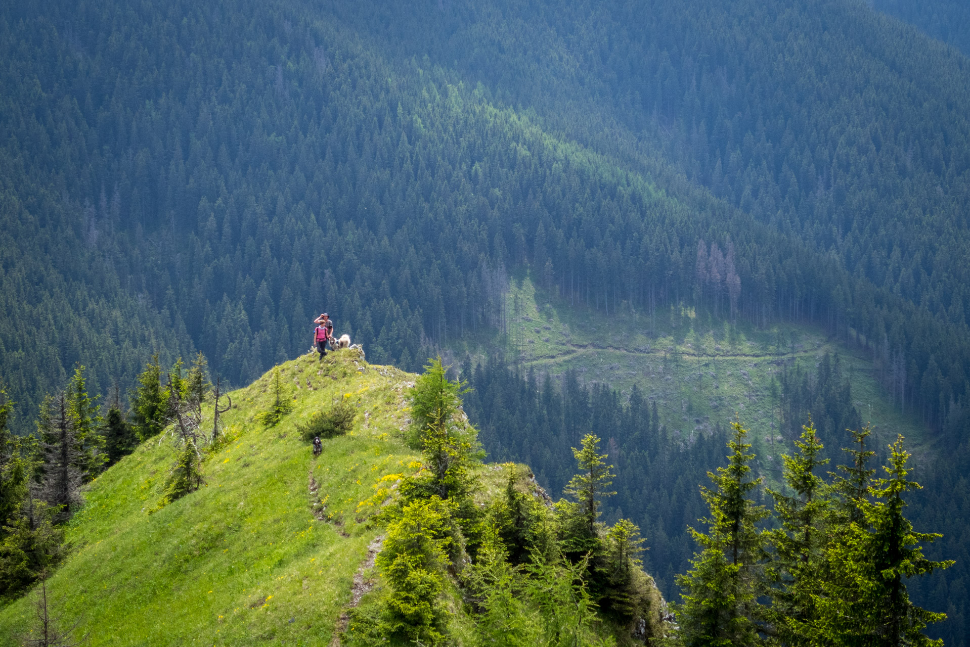 Siná od Demänovskej jaskyne slobody (Nízke Tatry)