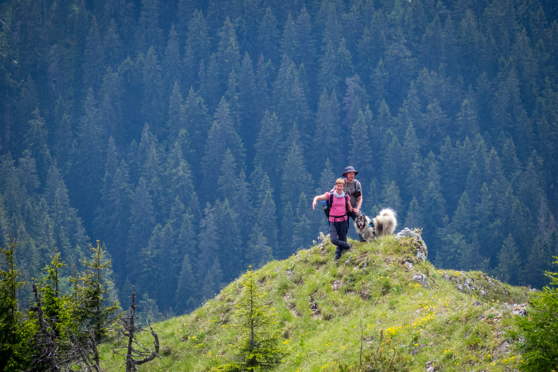 Siná od Demänovskej jaskyne slobody (Nízke Tatry)