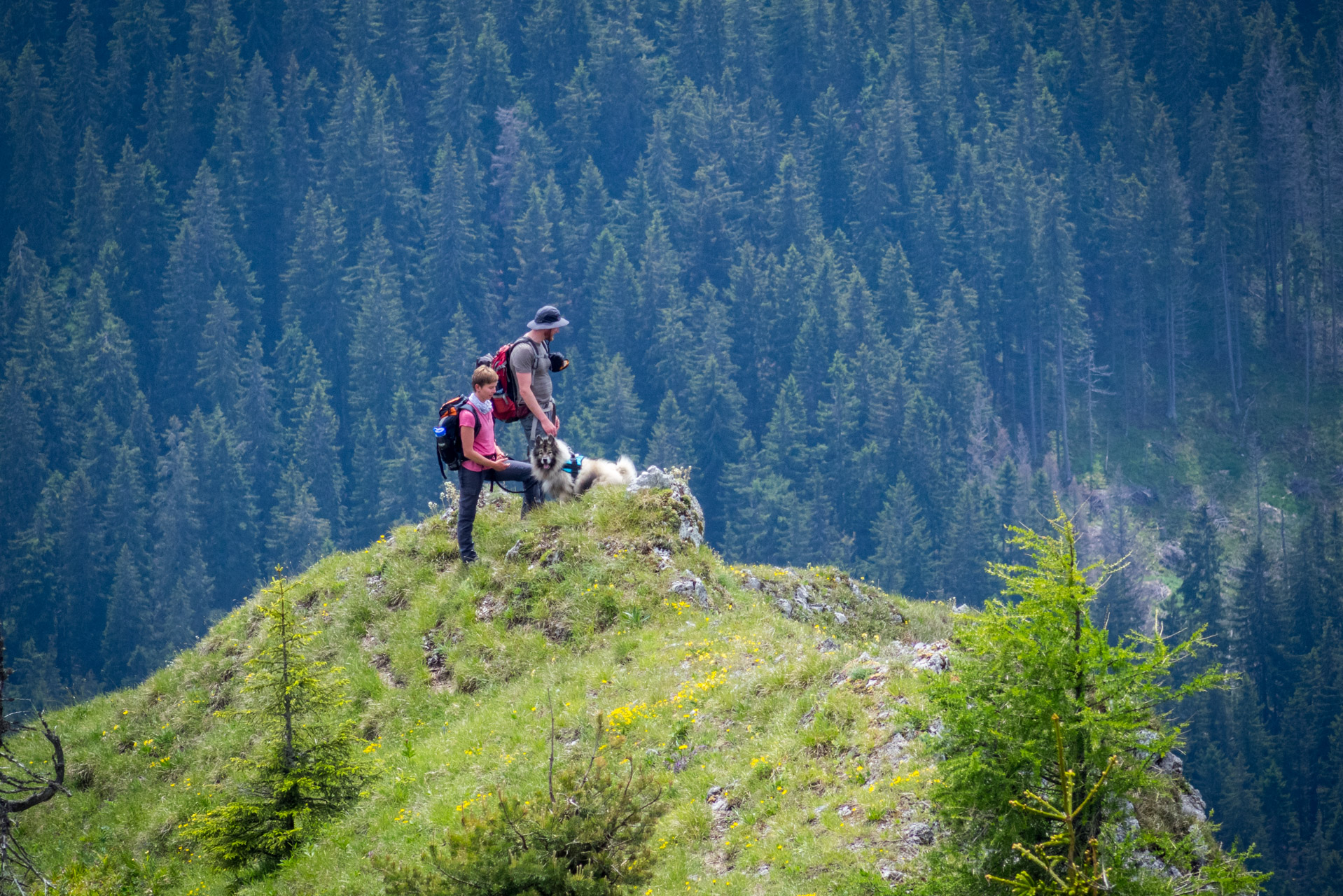 Siná od Demänovskej jaskyne slobody (Nízke Tatry)