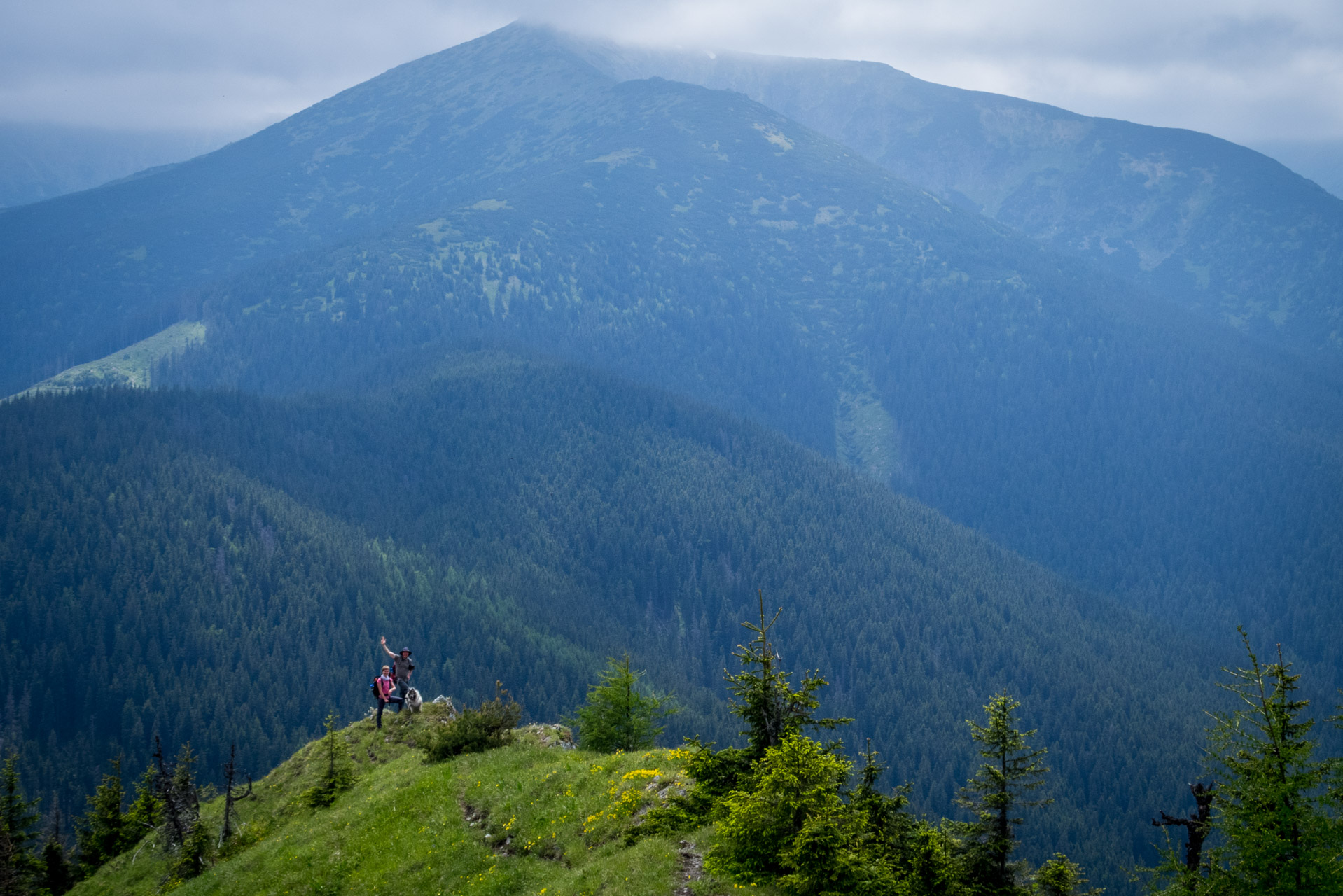 Siná od Demänovskej jaskyne slobody (Nízke Tatry)