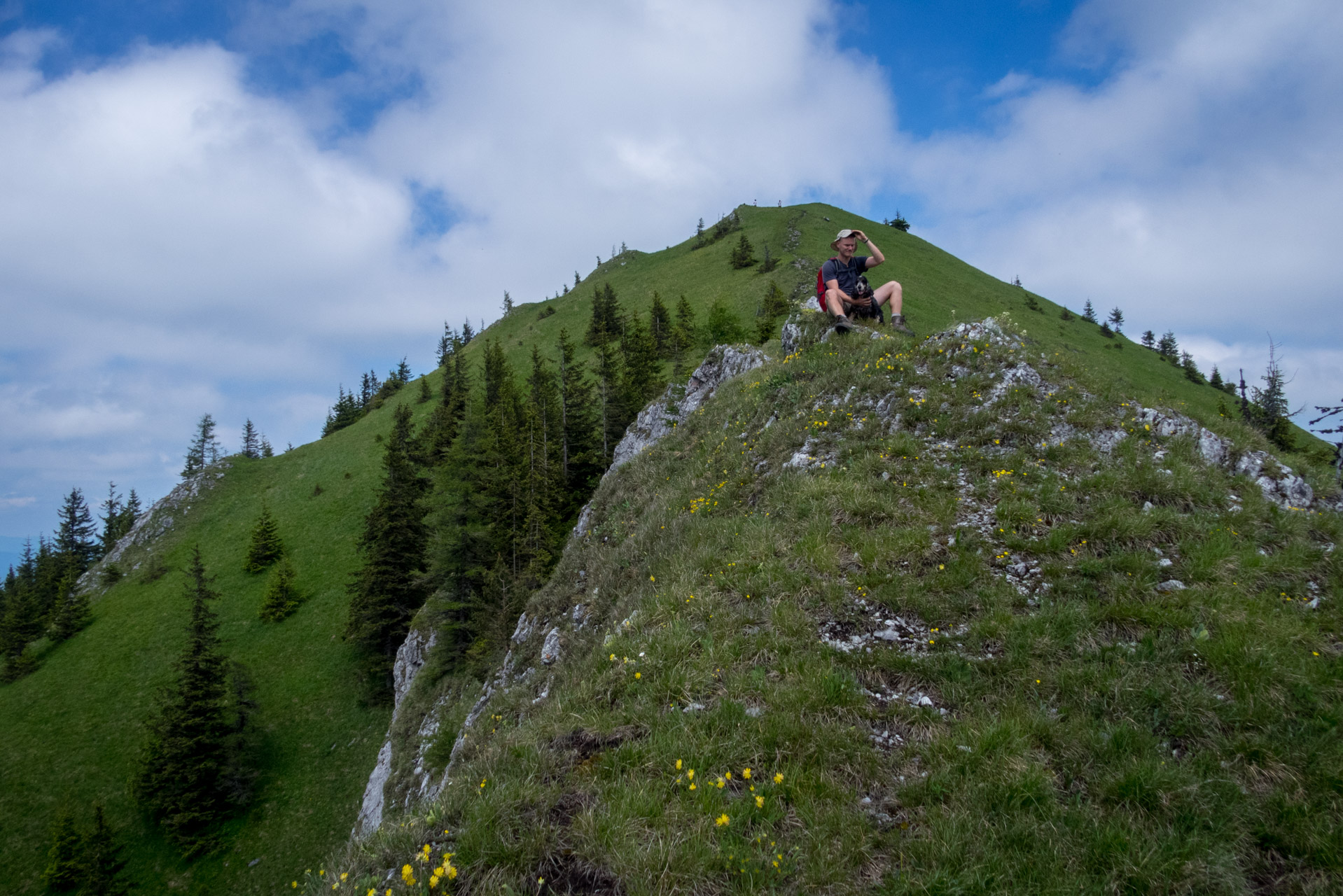 Siná od Demänovskej jaskyne slobody (Nízke Tatry)