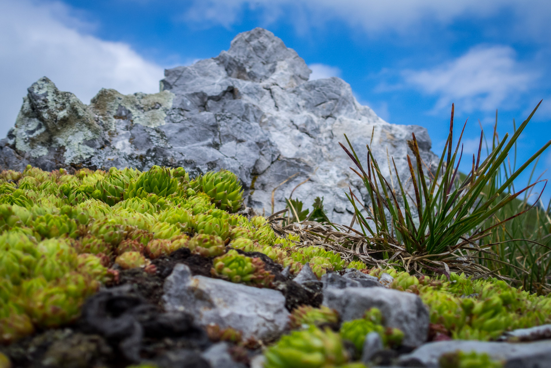 Siná od Demänovskej jaskyne slobody (Nízke Tatry)