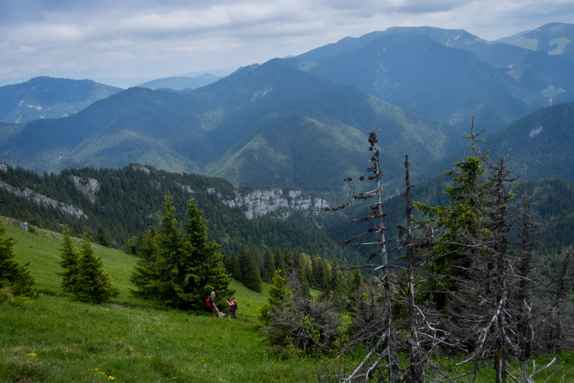 Siná od Demänovskej jaskyne slobody (Nízke Tatry)