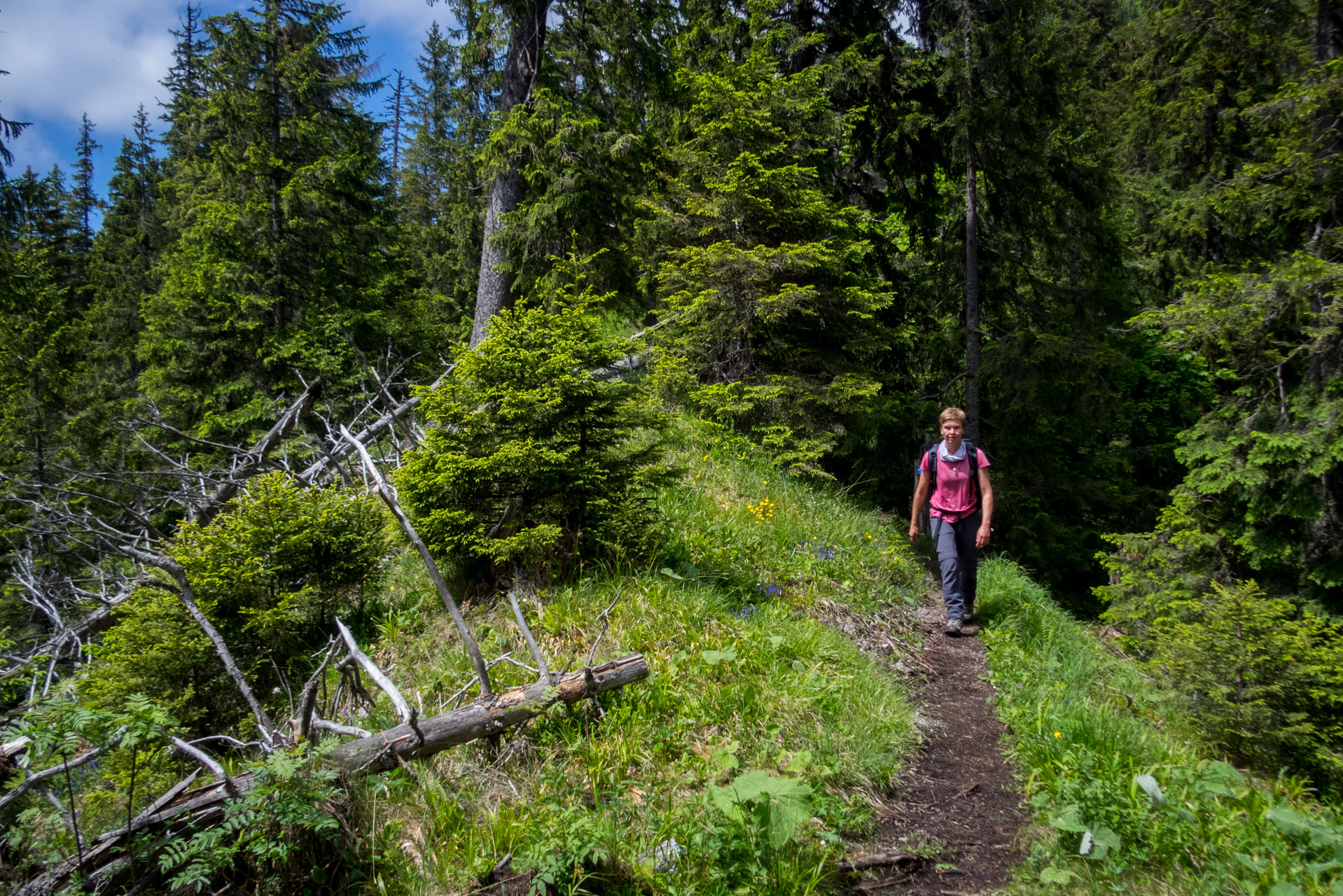 Siná od Demänovskej jaskyne slobody (Nízke Tatry)