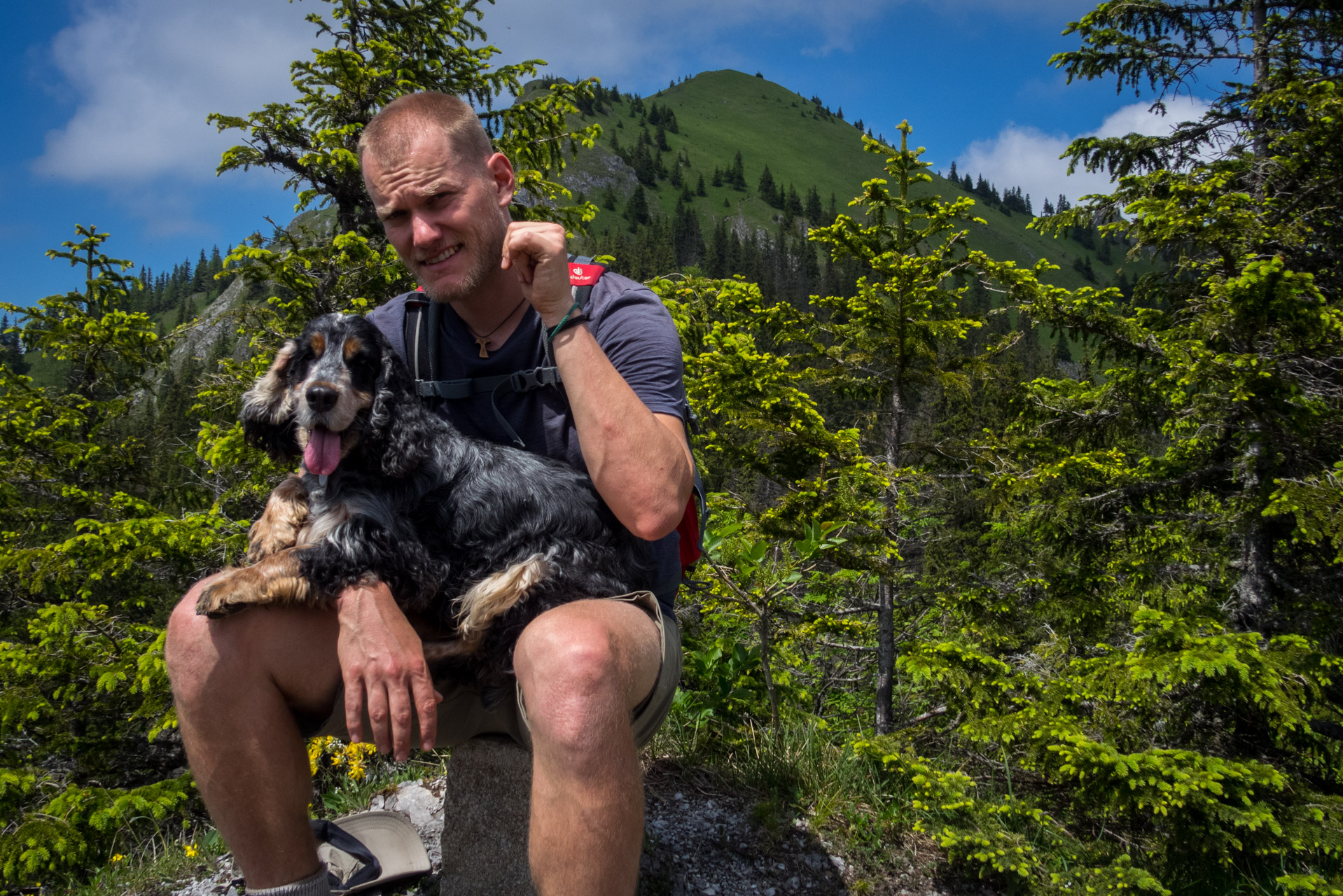 Siná od Demänovskej jaskyne slobody (Nízke Tatry)