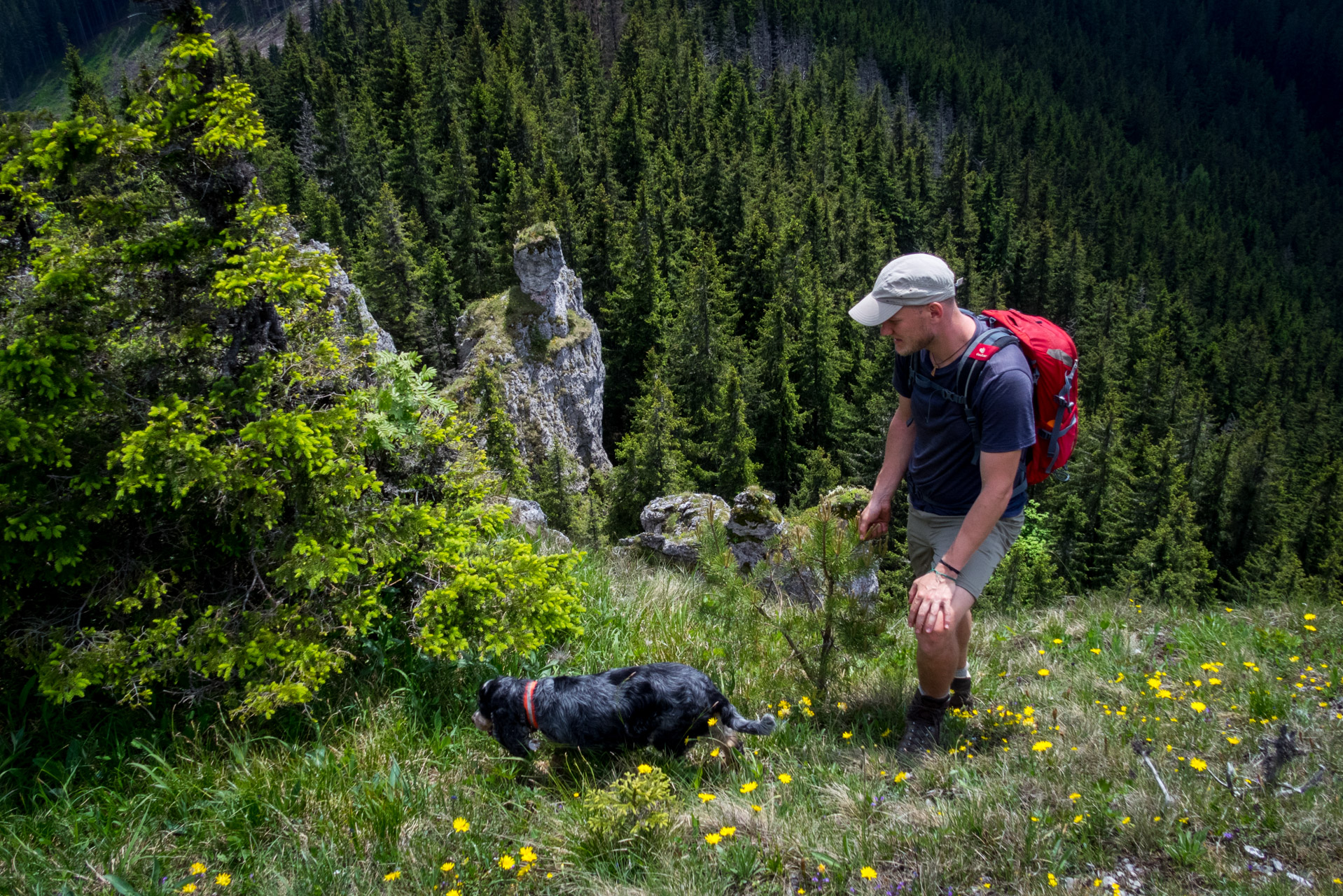 Siná od Demänovskej jaskyne slobody (Nízke Tatry)