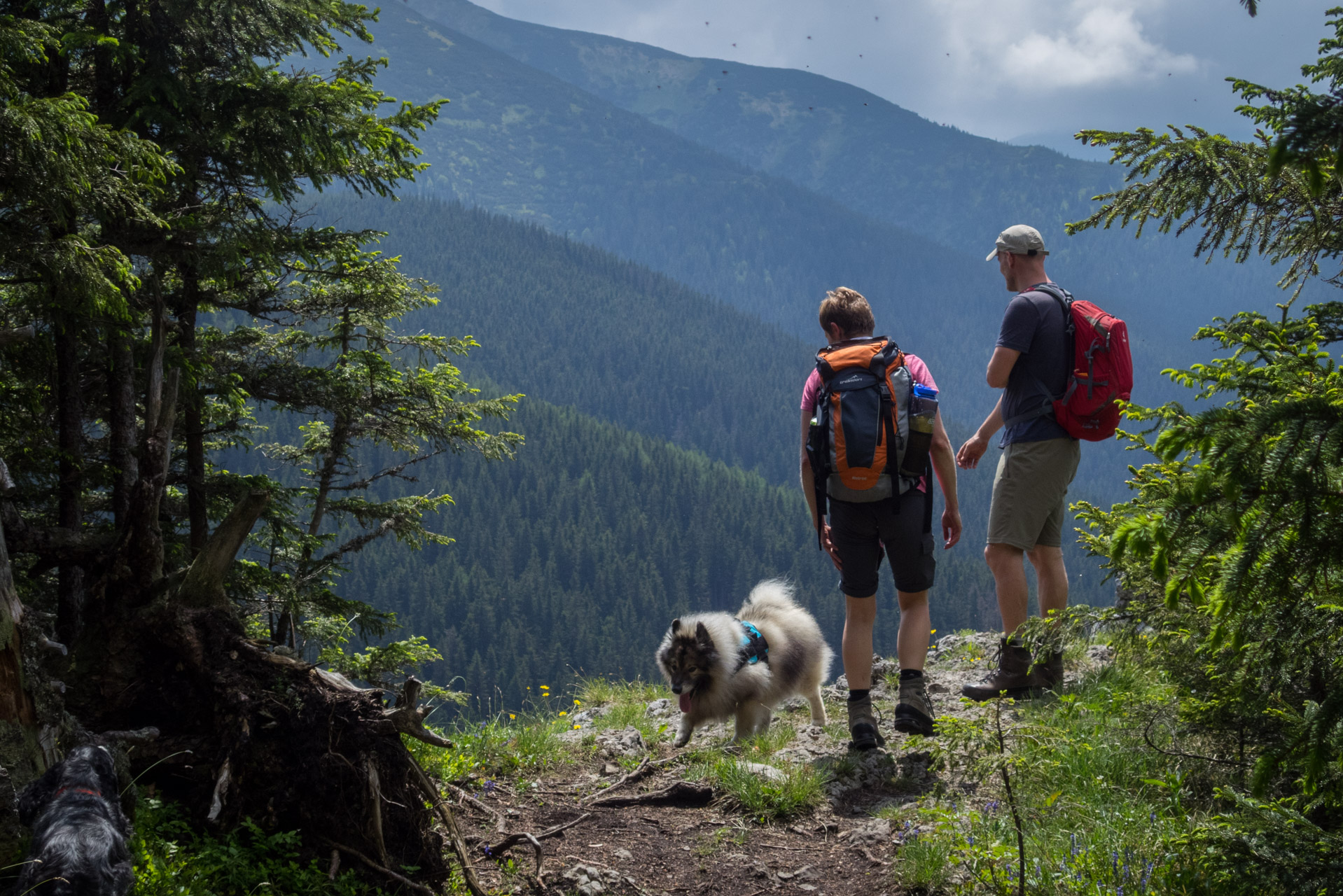 Siná od Demänovskej jaskyne slobody (Nízke Tatry)