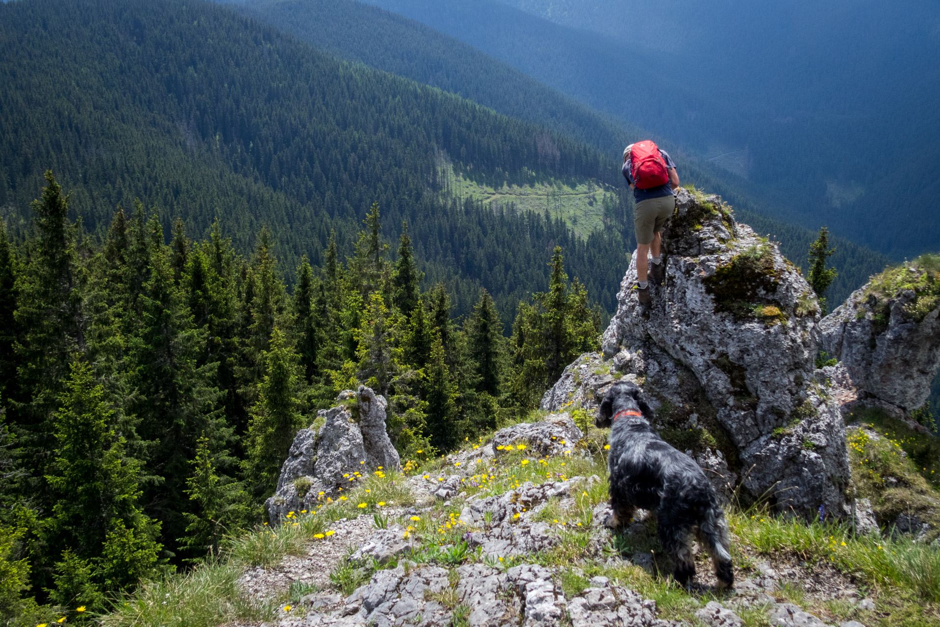 Siná od Demänovskej jaskyne slobody (Nízke Tatry)