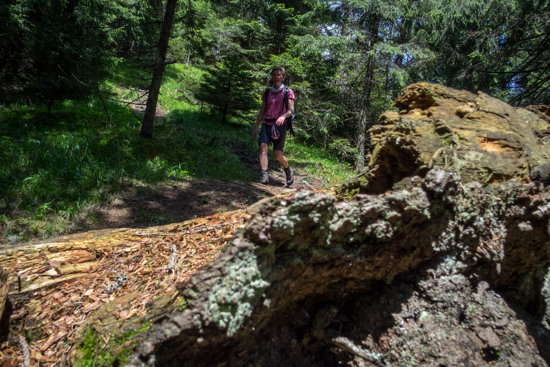 Siná od Demänovskej jaskyne slobody (Nízke Tatry)