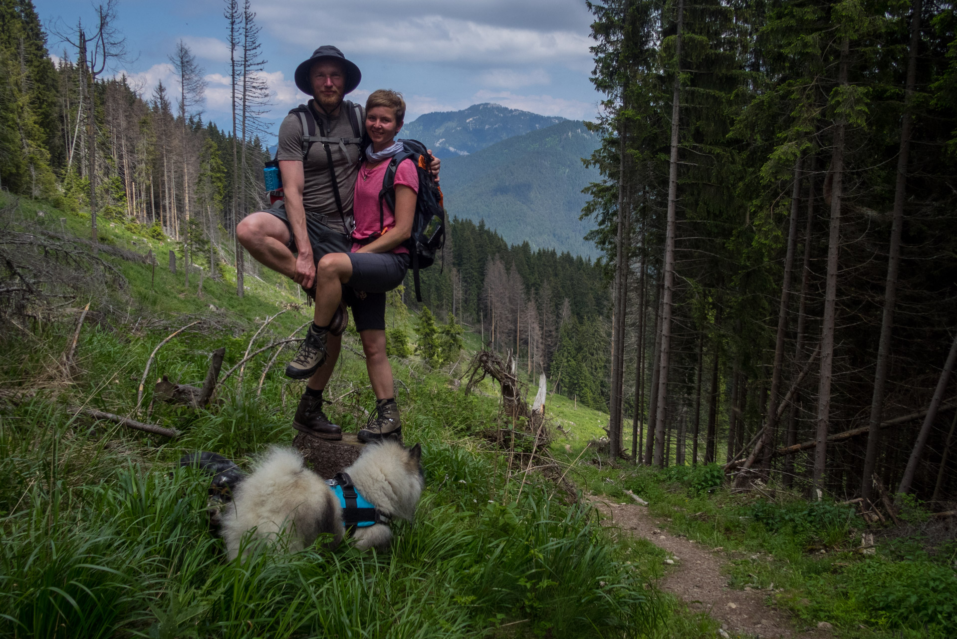 Siná od Demänovskej jaskyne slobody (Nízke Tatry)