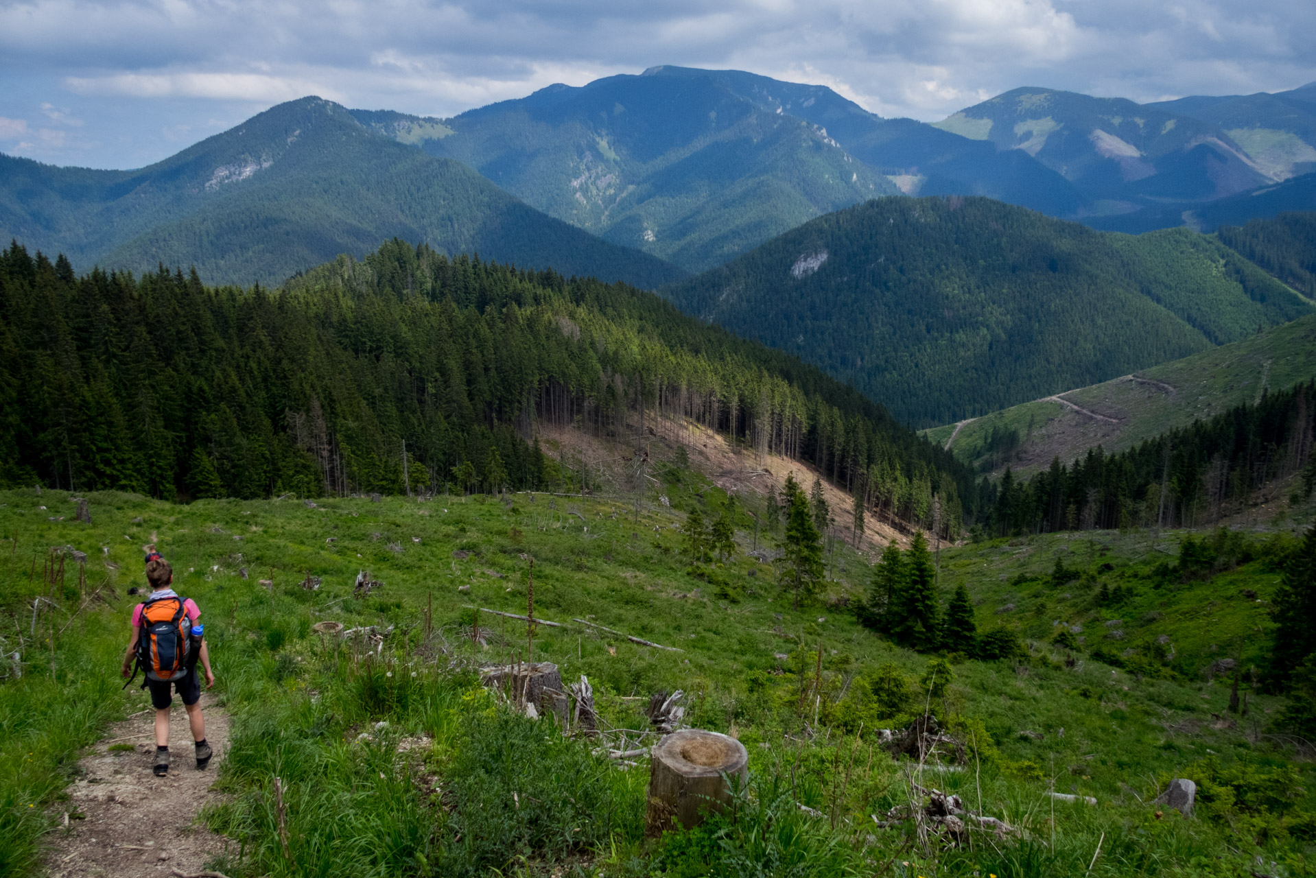 Siná od Demänovskej jaskyne slobody (Nízke Tatry)