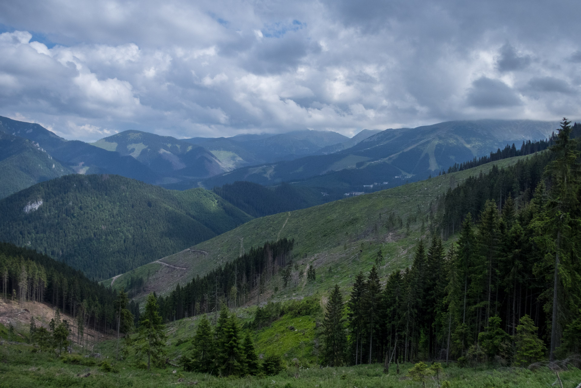 Siná od Demänovskej jaskyne slobody (Nízke Tatry)