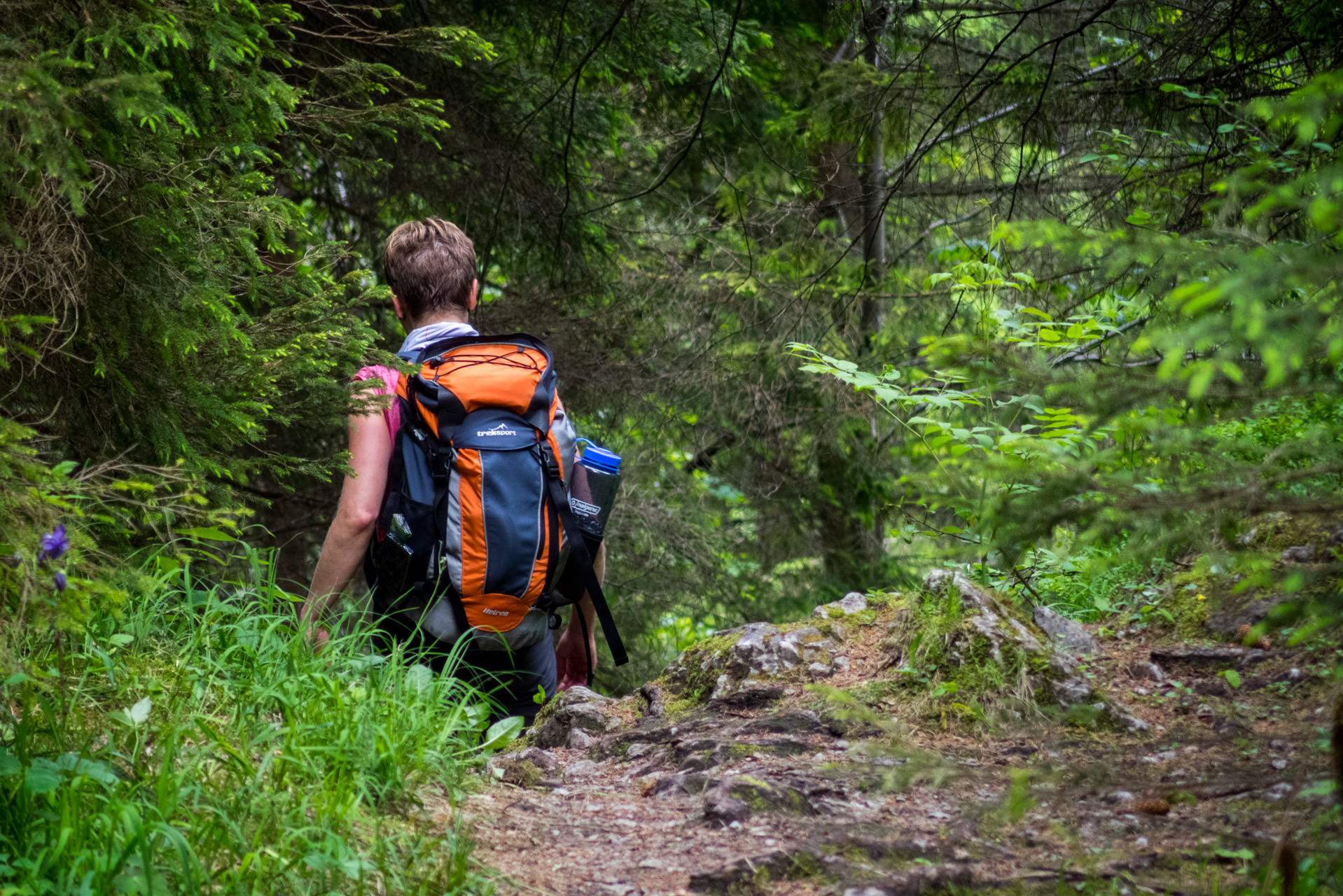 Siná od Demänovskej jaskyne slobody (Nízke Tatry)