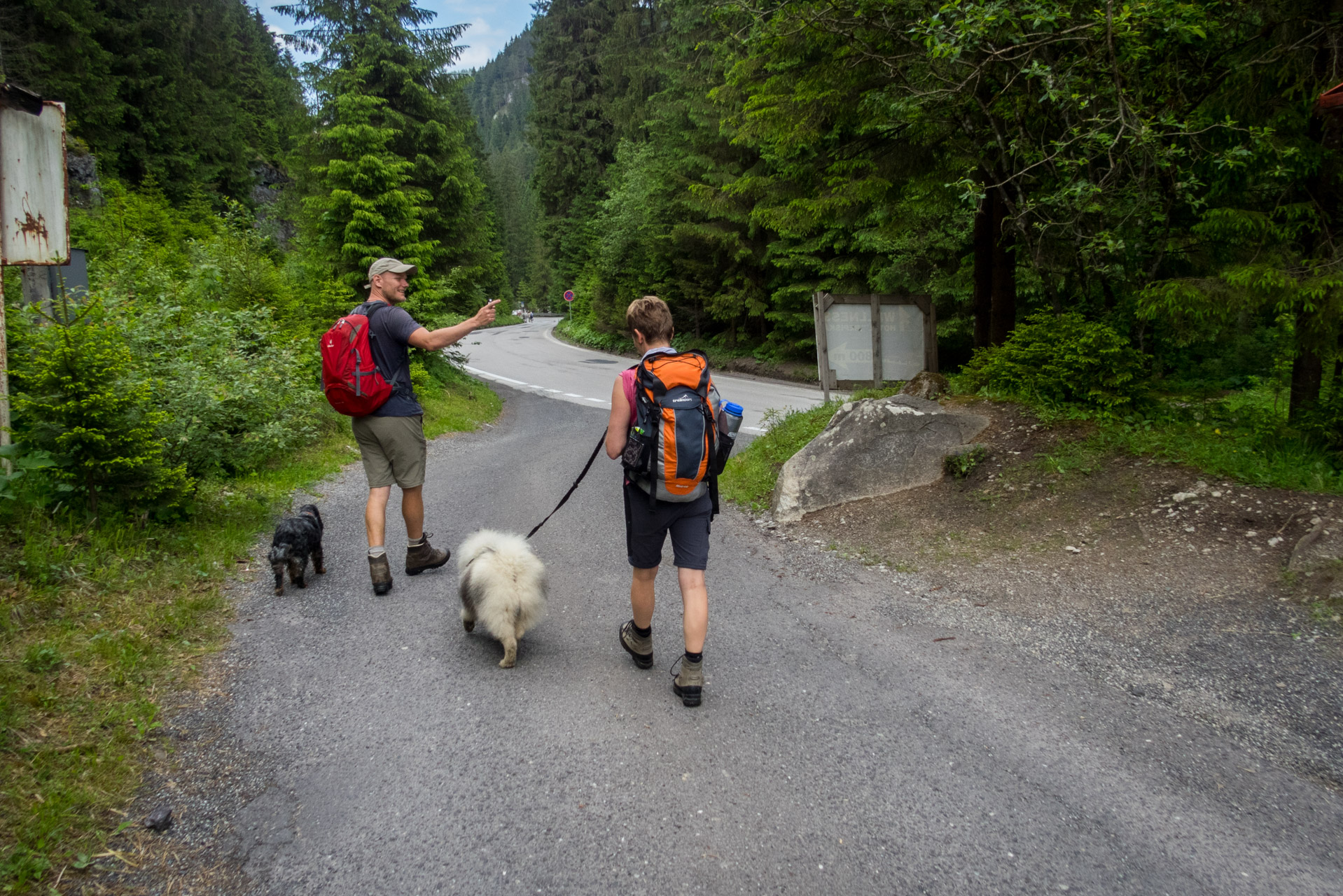 Siná od Demänovskej jaskyne slobody (Nízke Tatry)