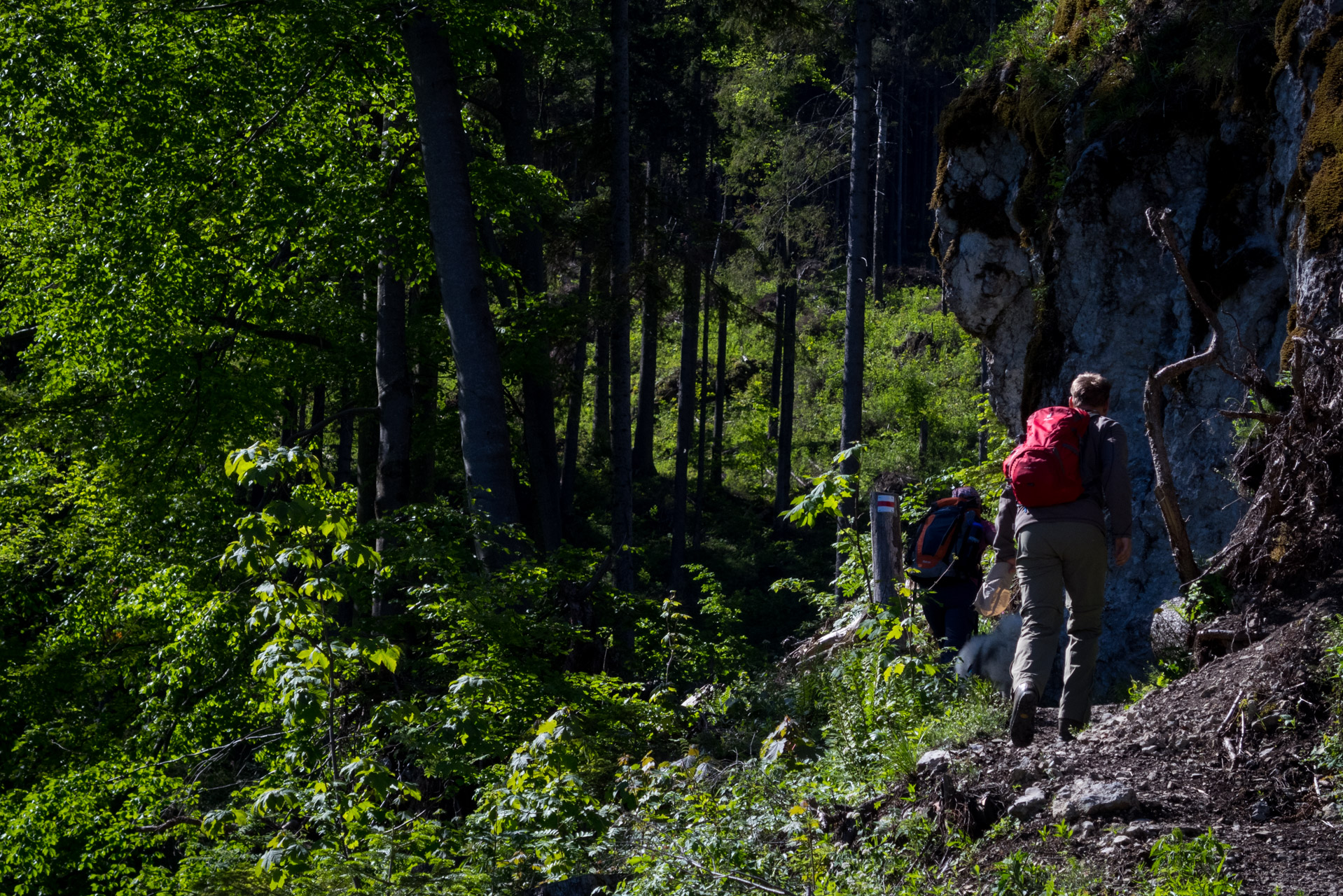 Sivý vrch od horárne Biela skala (Západné Tatry)