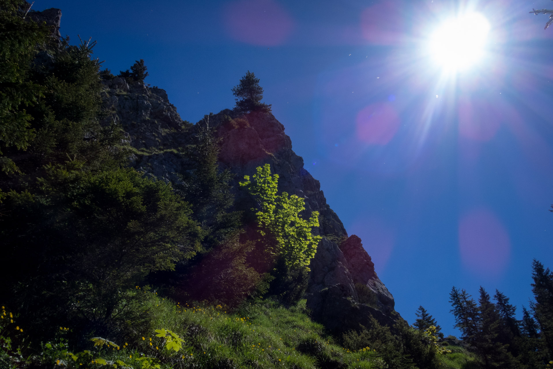 Sivý vrch od horárne Biela skala (Západné Tatry)